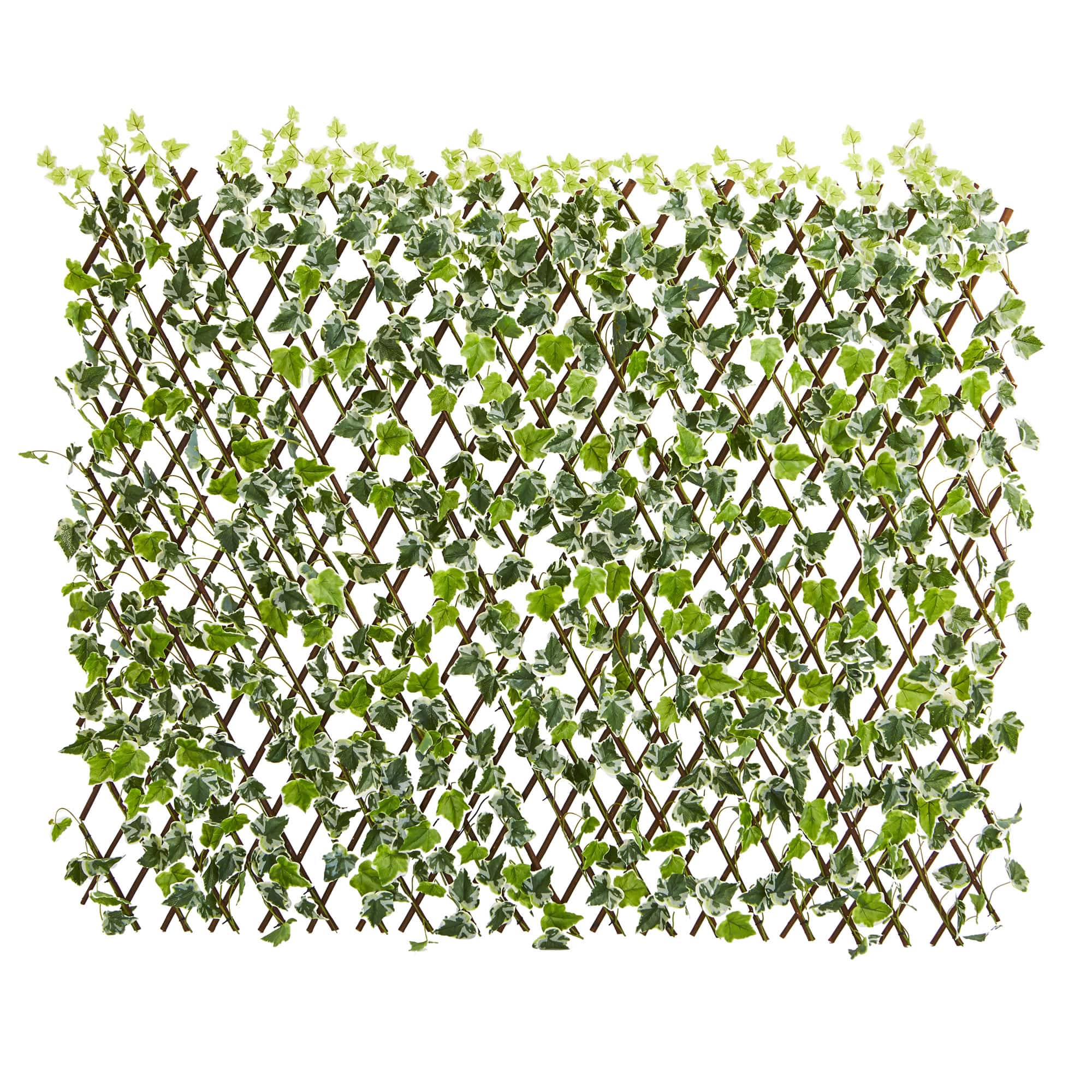 3ft. English Ivy Expandable Fence