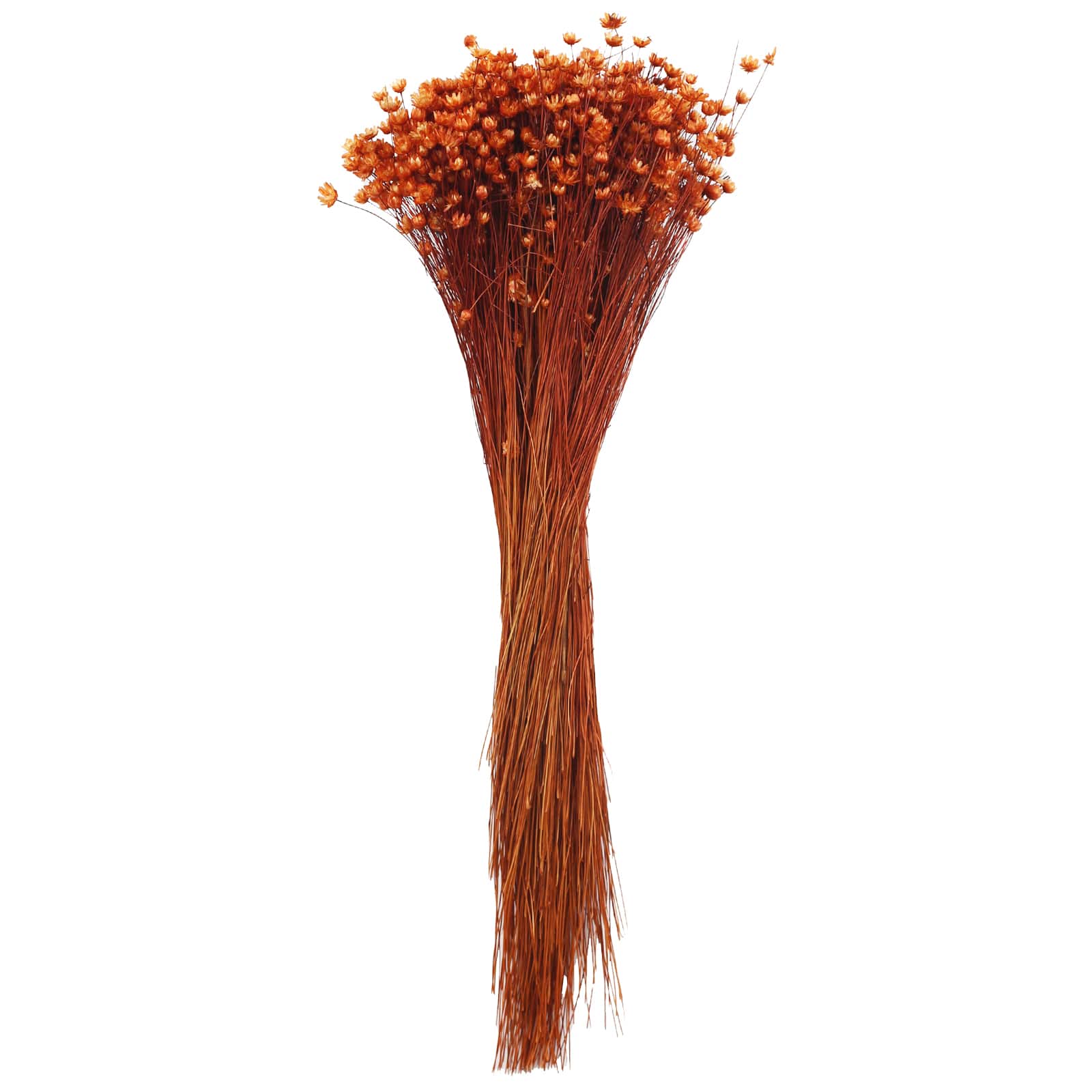14&#x22; Burnt Orange Dried Campo Flower Bunch by Ashland&#xAE;