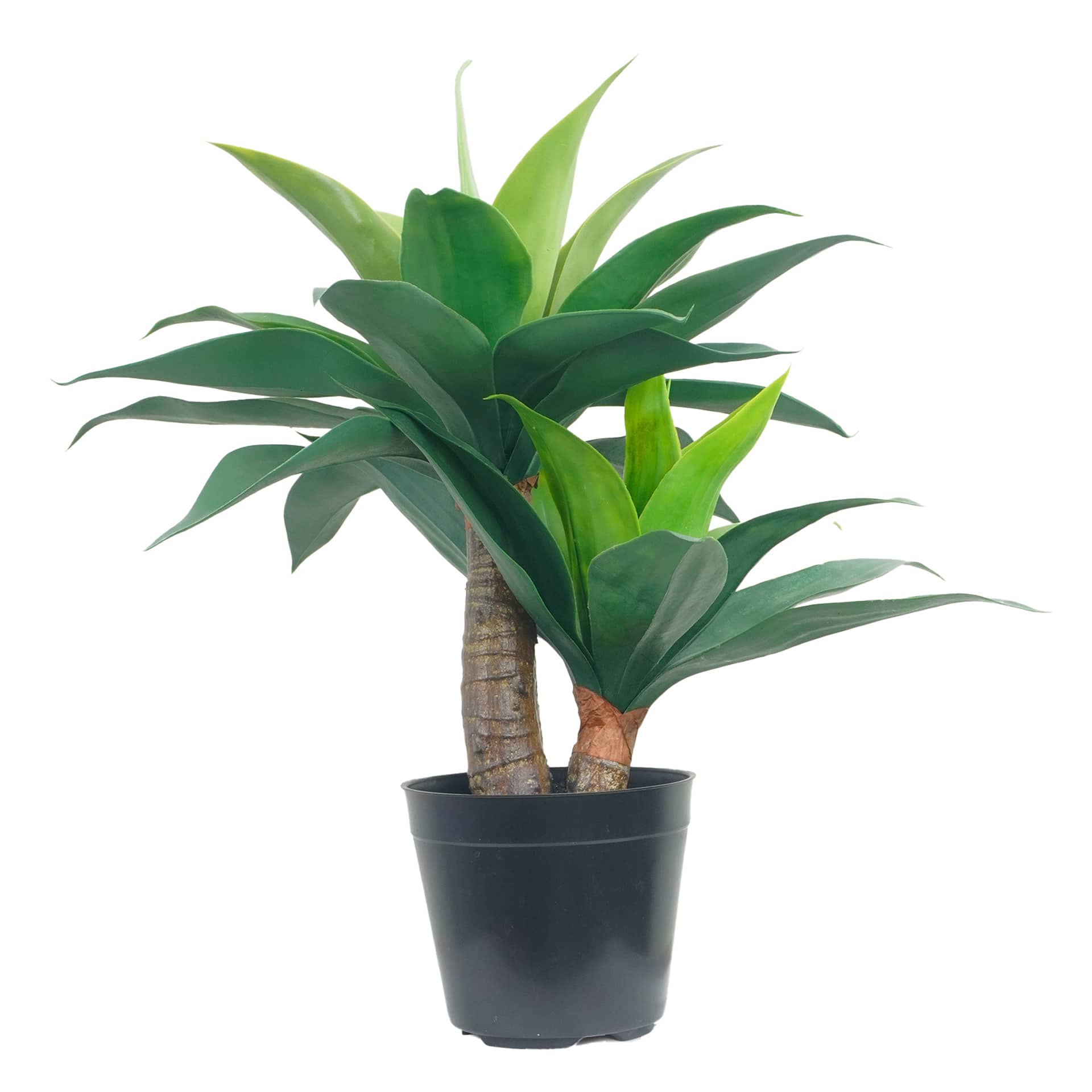 20" Potted Green Agave Plant by Ashland®