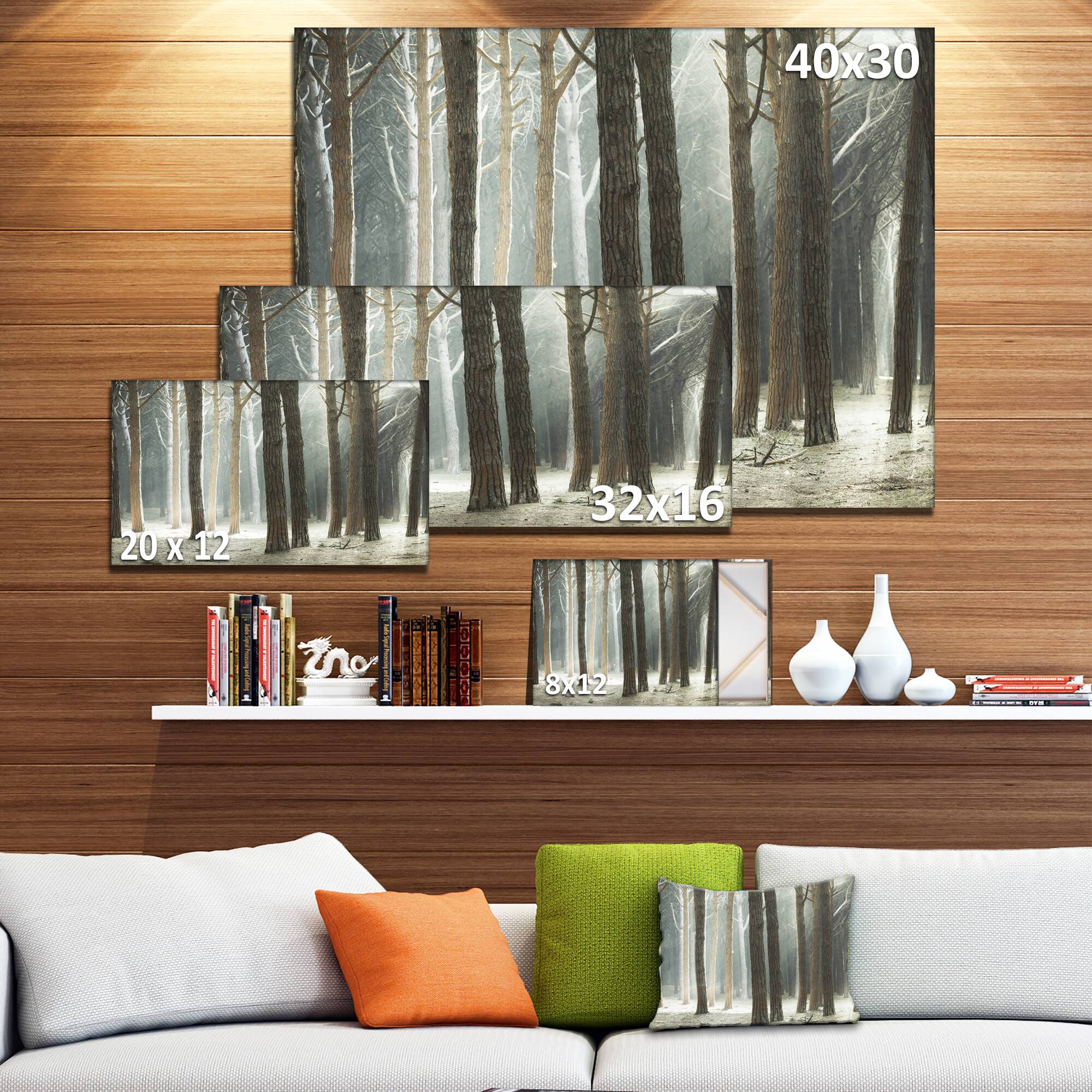 Designart - Maritime Pine Tree Forest with Rays - Oversized Forest Canvas Art