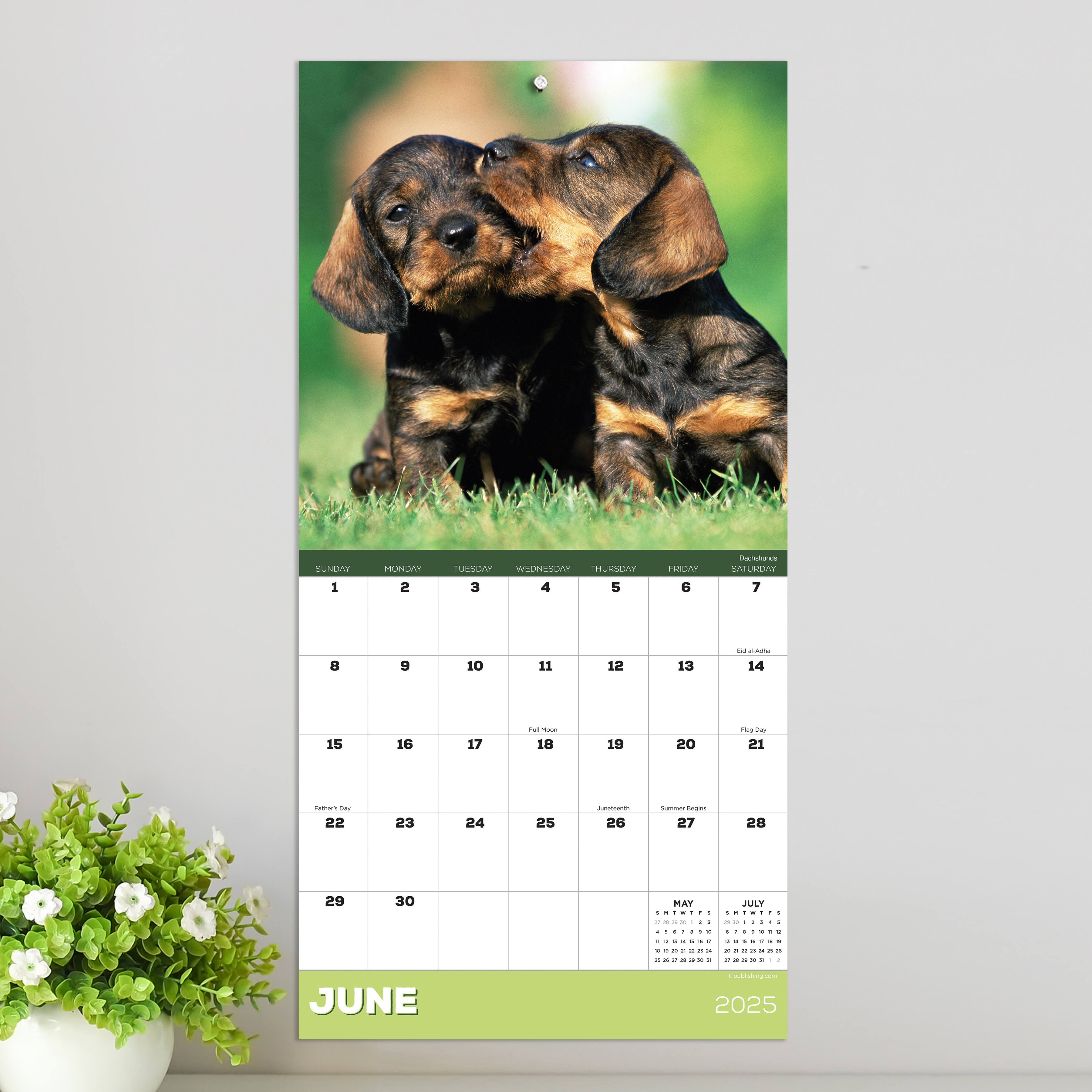 TF Publishing 2025 Puppies Mini Calendar