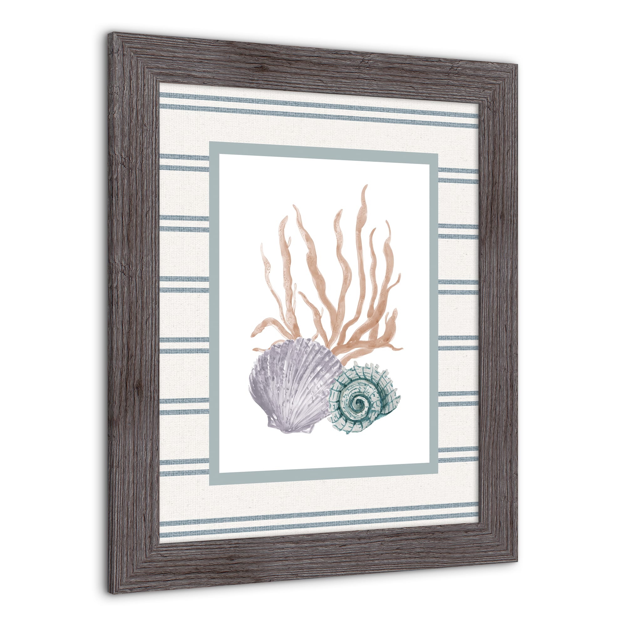 Scallop & Snail Shell Western Framed Print