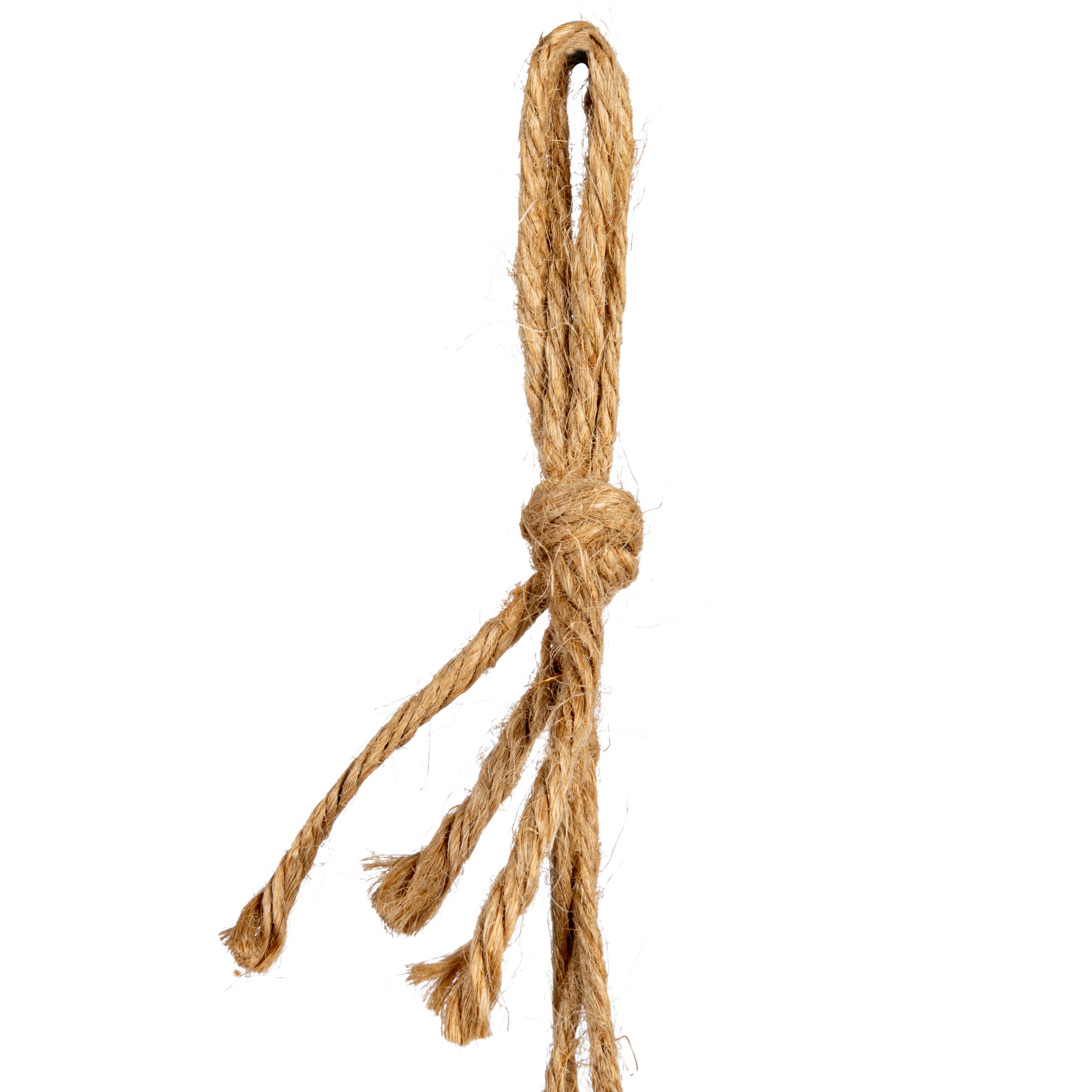 Hello Honey&#xAE; 7.5&#x22; Ivory Hanging Stoneware Seashell Planter with Rope