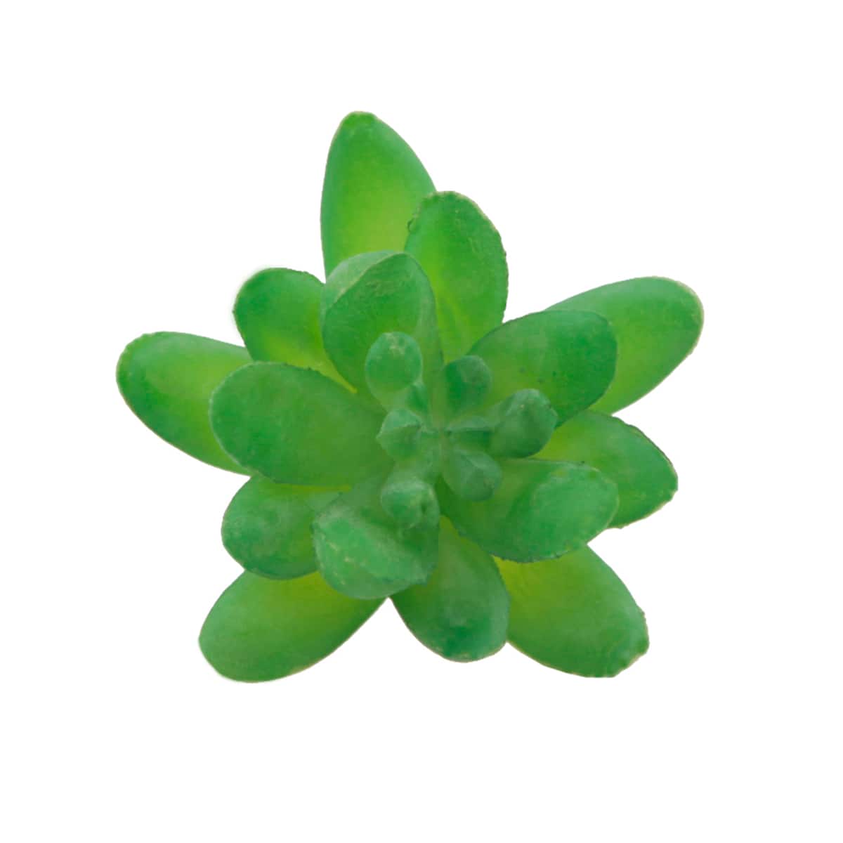 Flora Bunda® Small Little Gem Succulent Pick