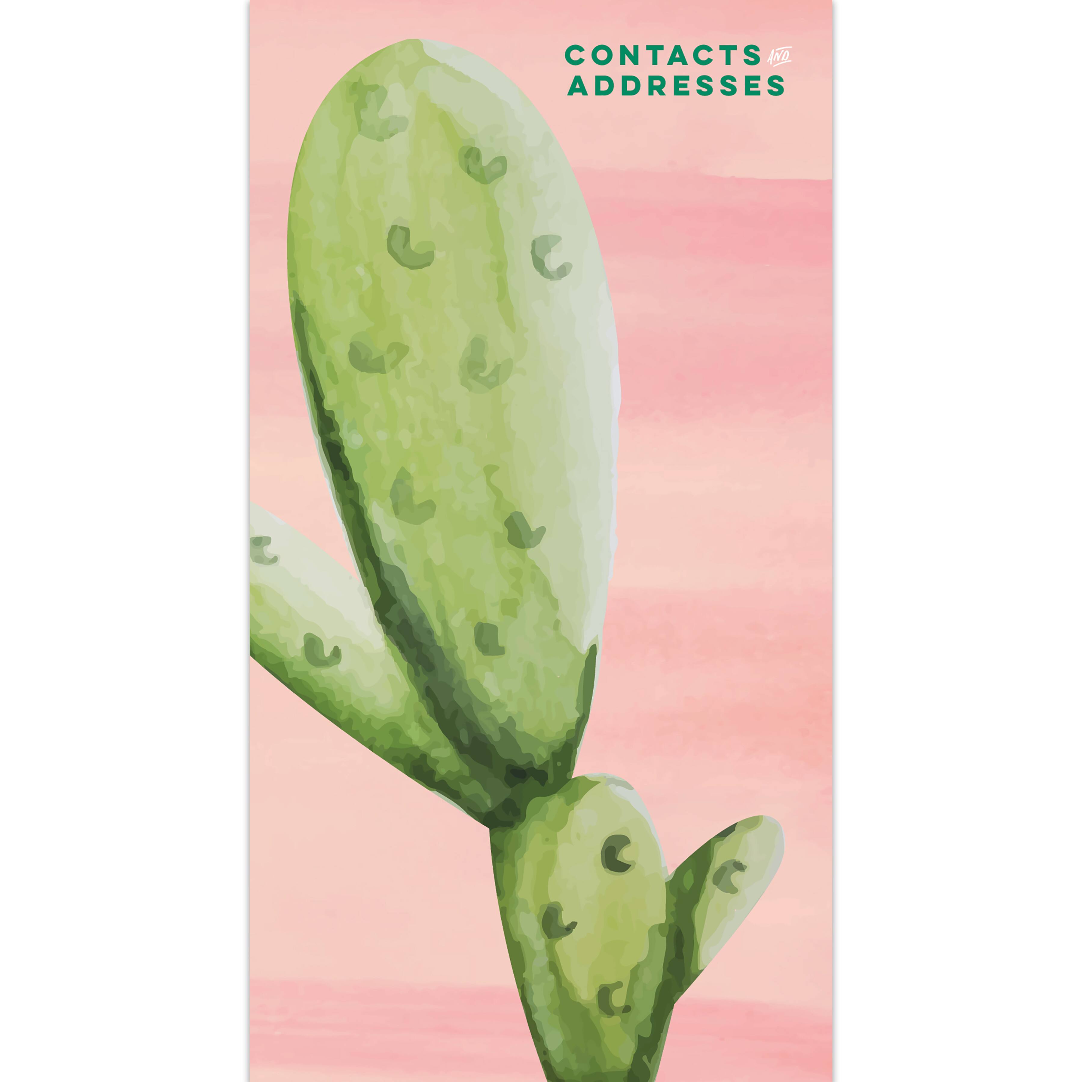 TF Publishing Cactus Address Book