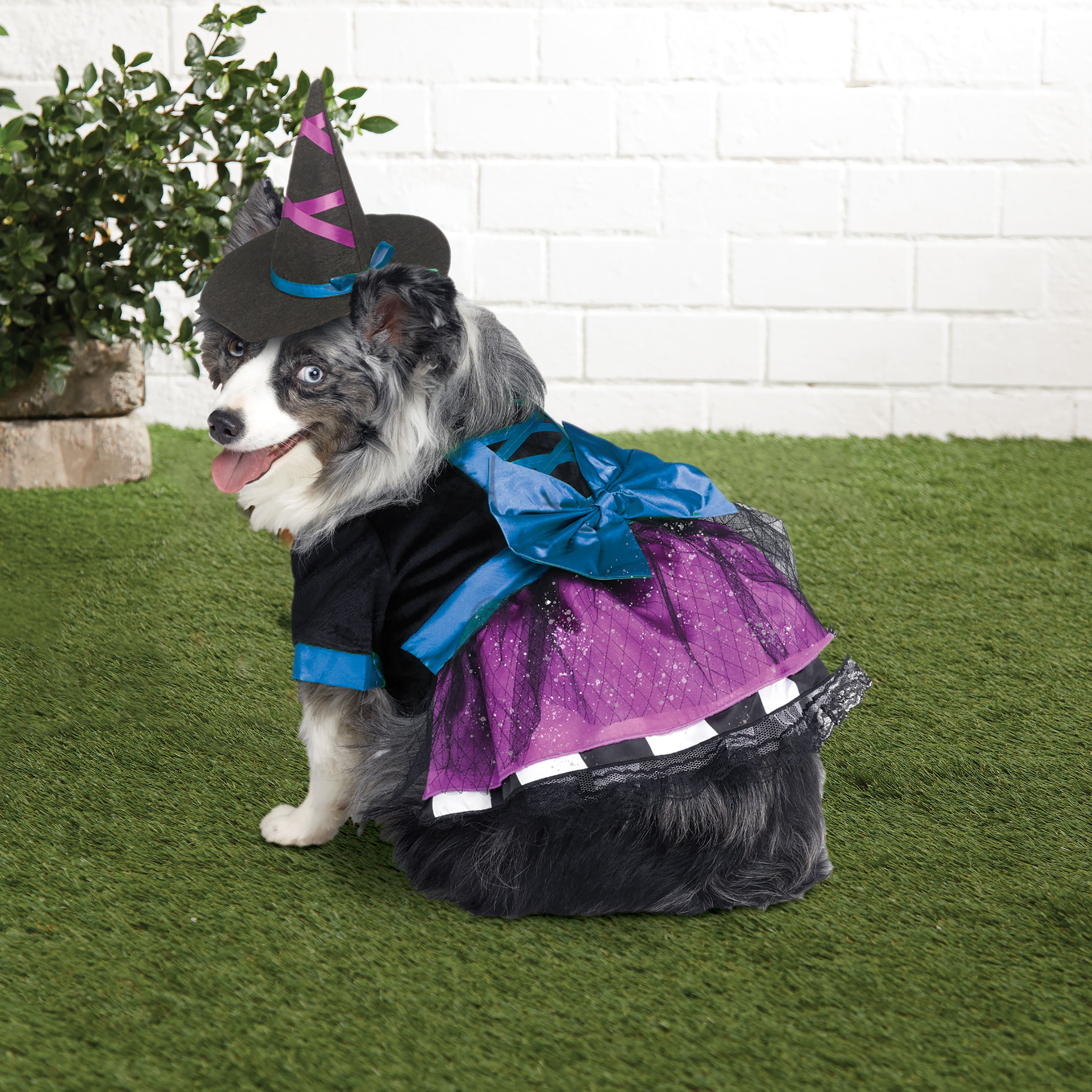 Witch Dog Costume by Ashland&#xAE;