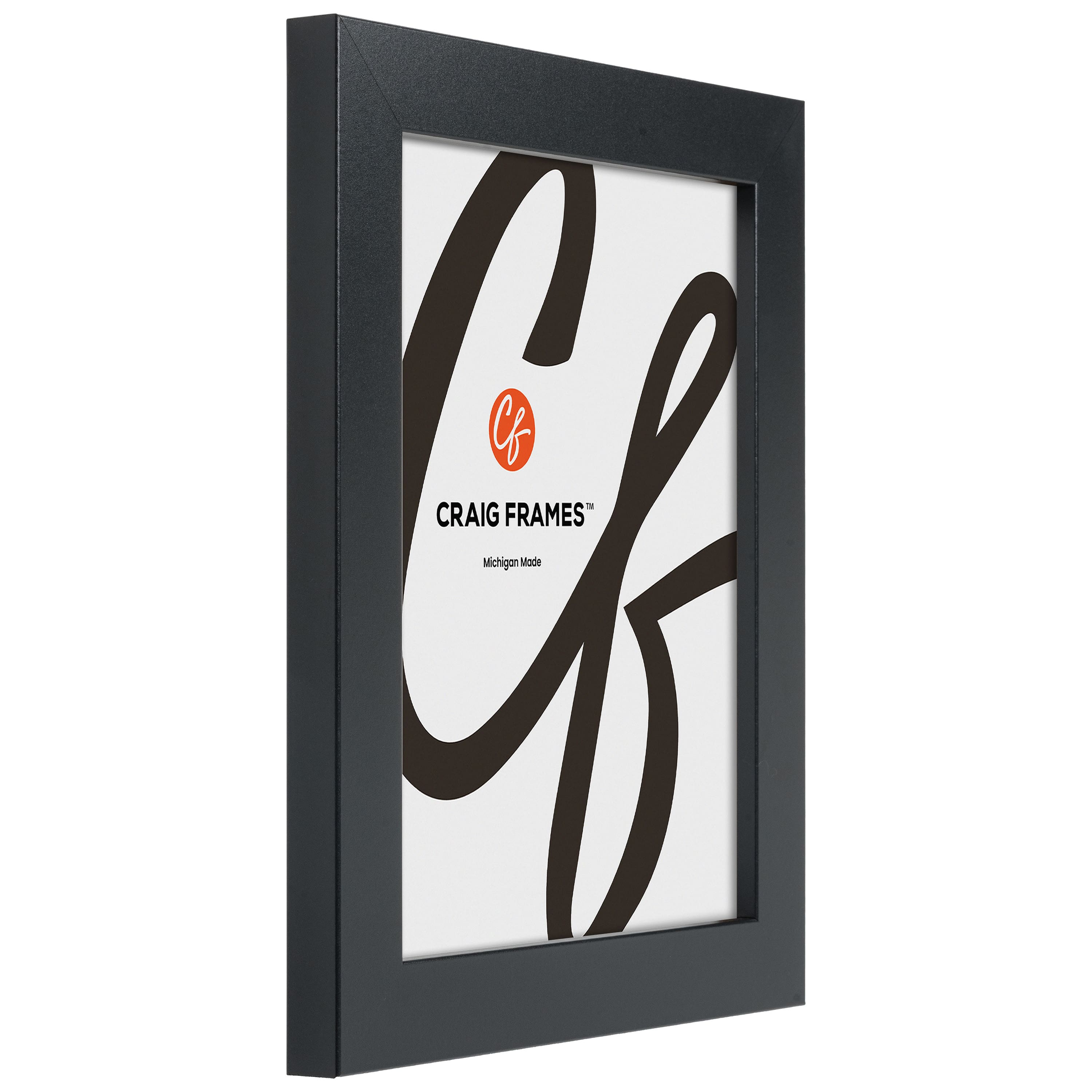 Craig Frames Bauhaus Mystic Satin Black Picture Frame