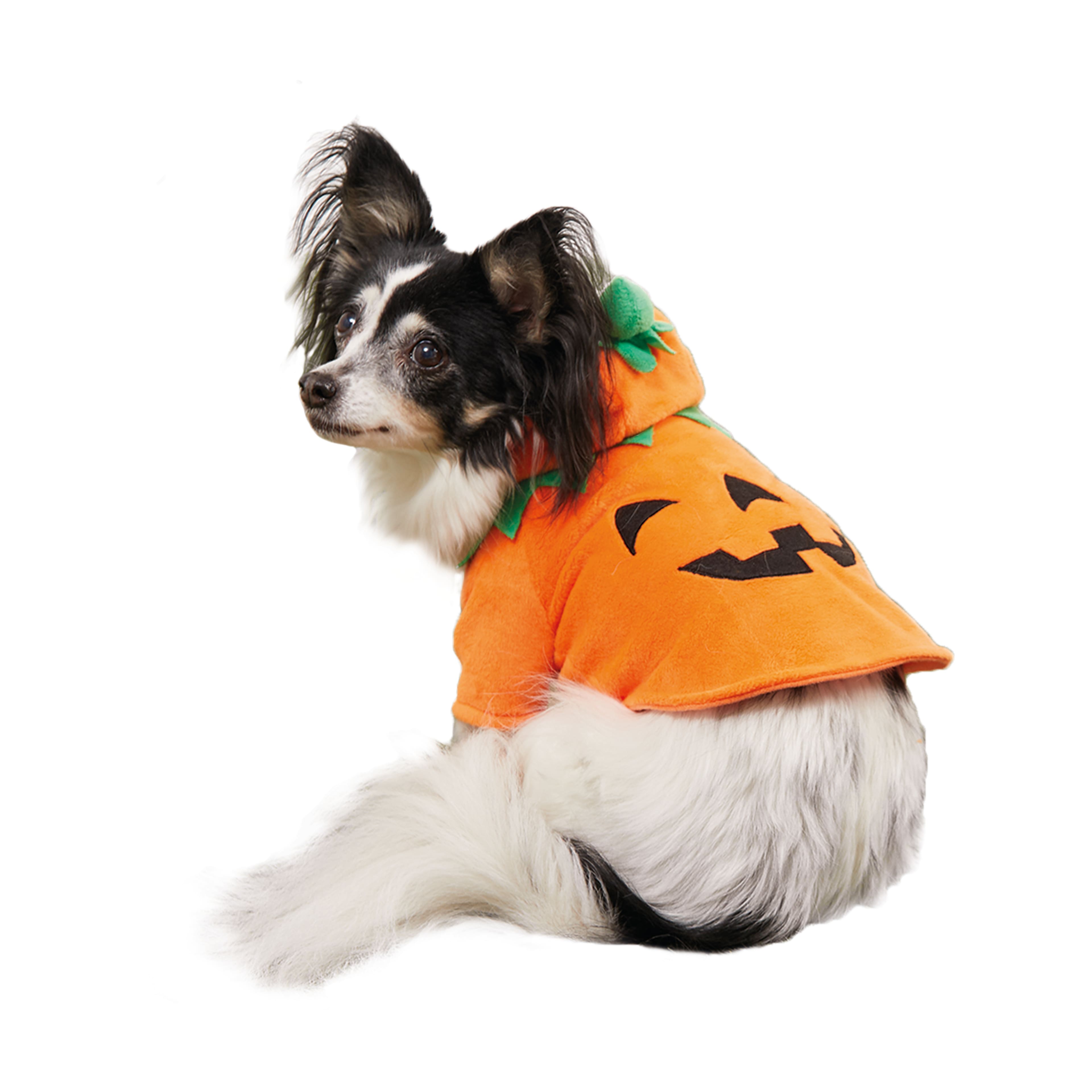 Dog pumpkin costumes best sale