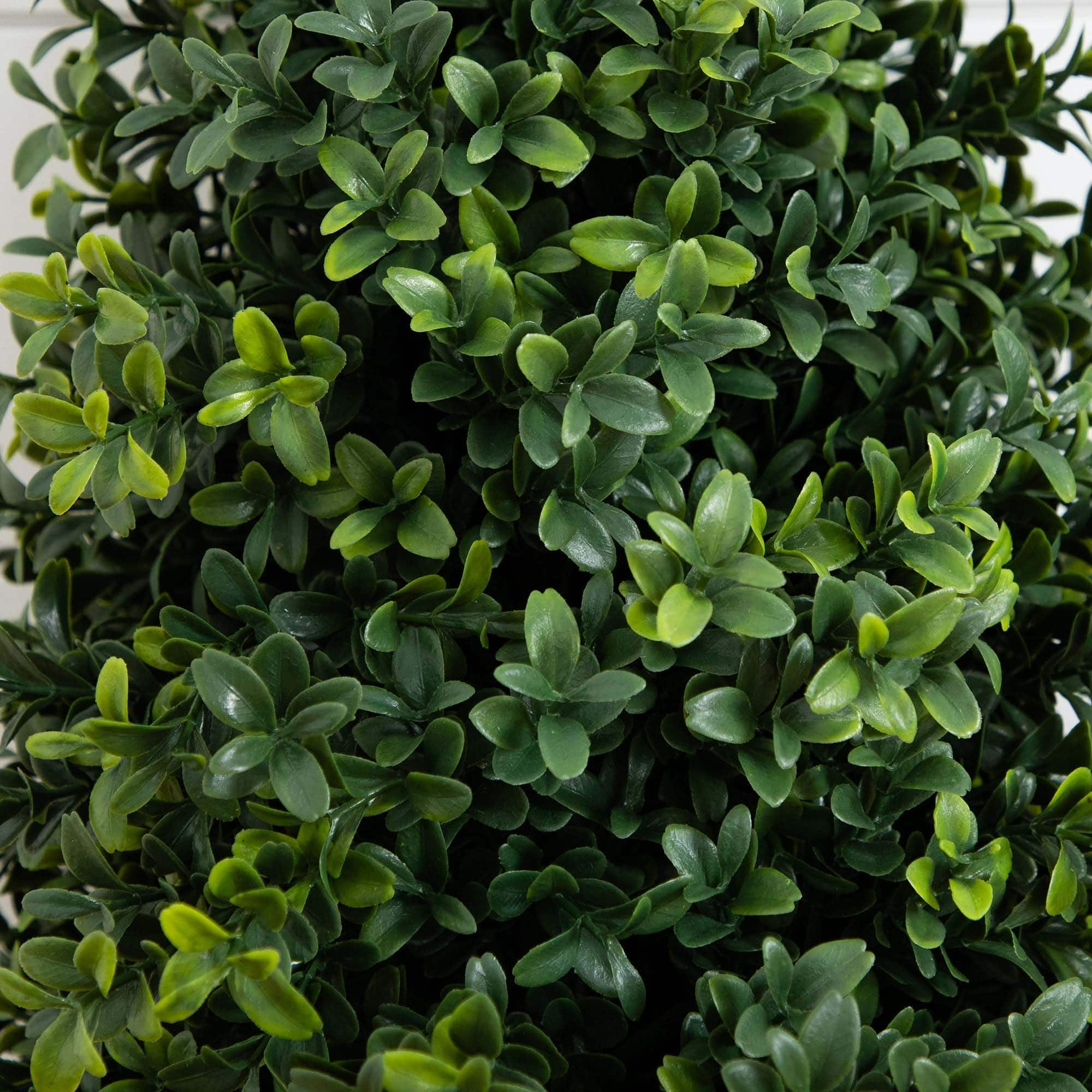 2.5ft. UV Resistant Boxwood Plant Set with Integrated Ground Stake