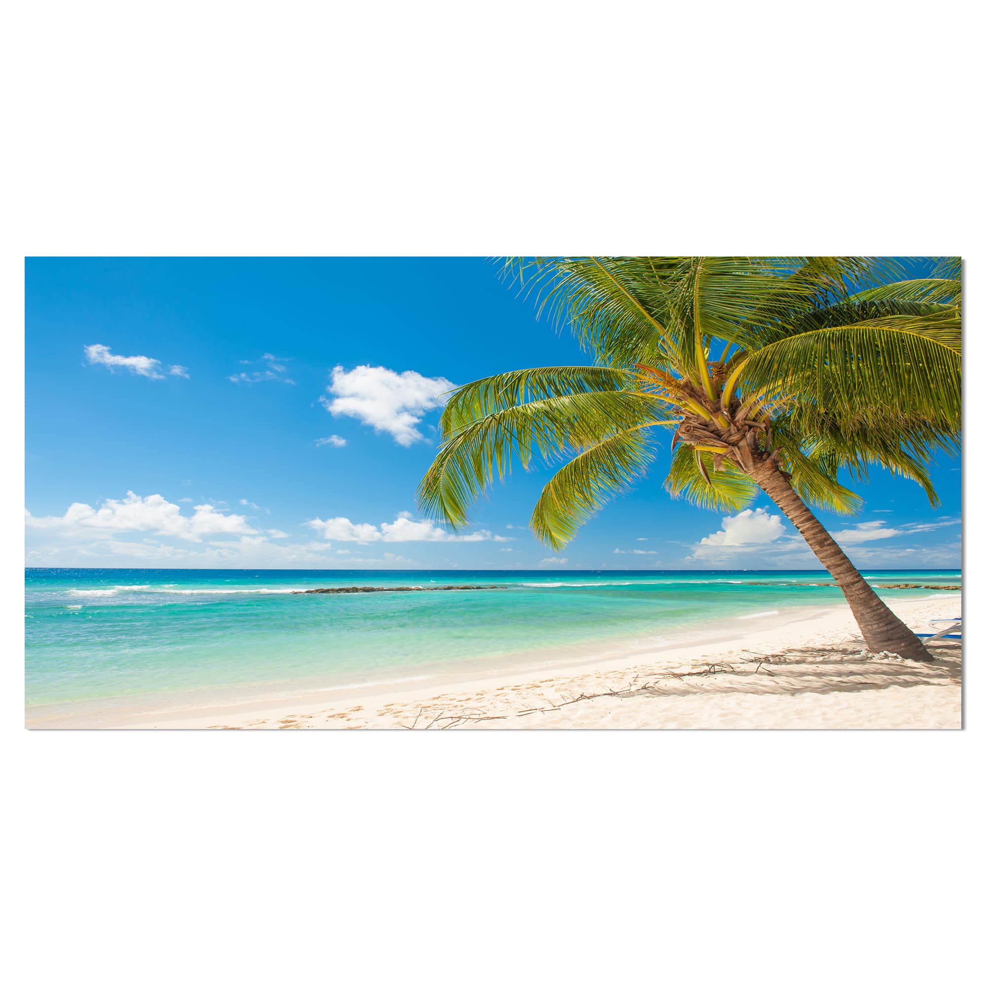 Designart - Palm tree over white sand - Landscapes Sea & Shore Photographic on wrapped Canvas