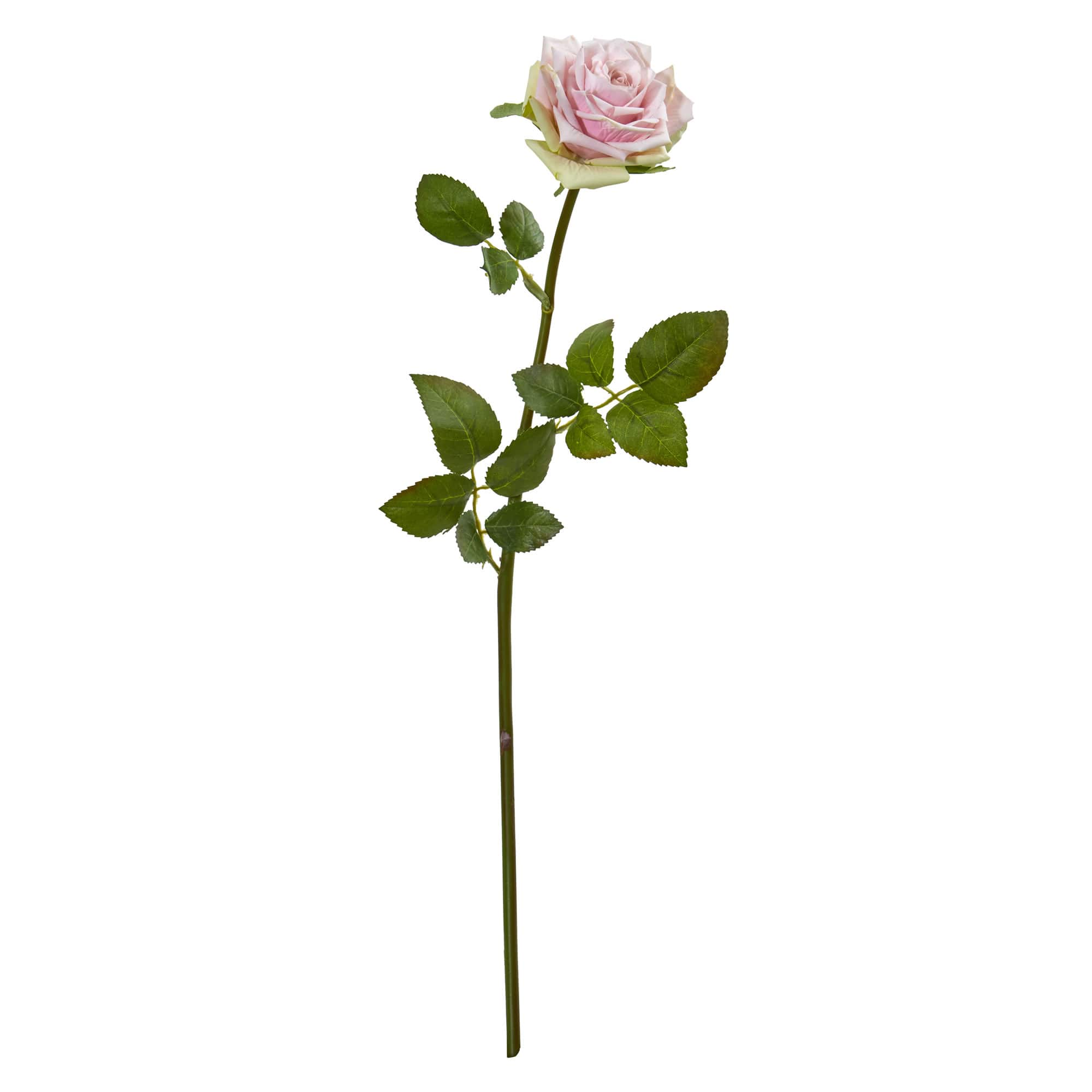 Rose Flower Stem, 12ct.