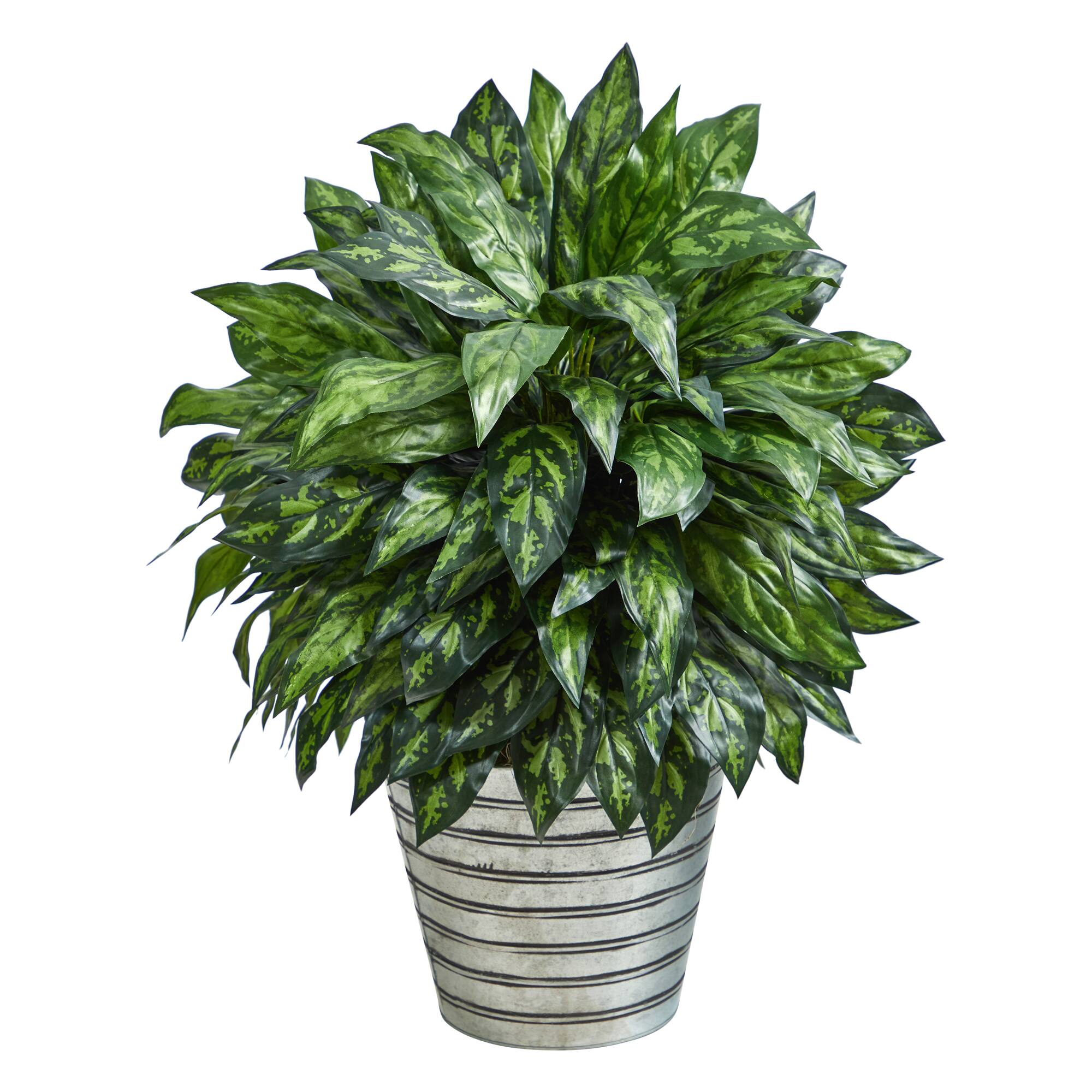 3ft. Silver King Plant in Decorative Tin Bucket Michaels