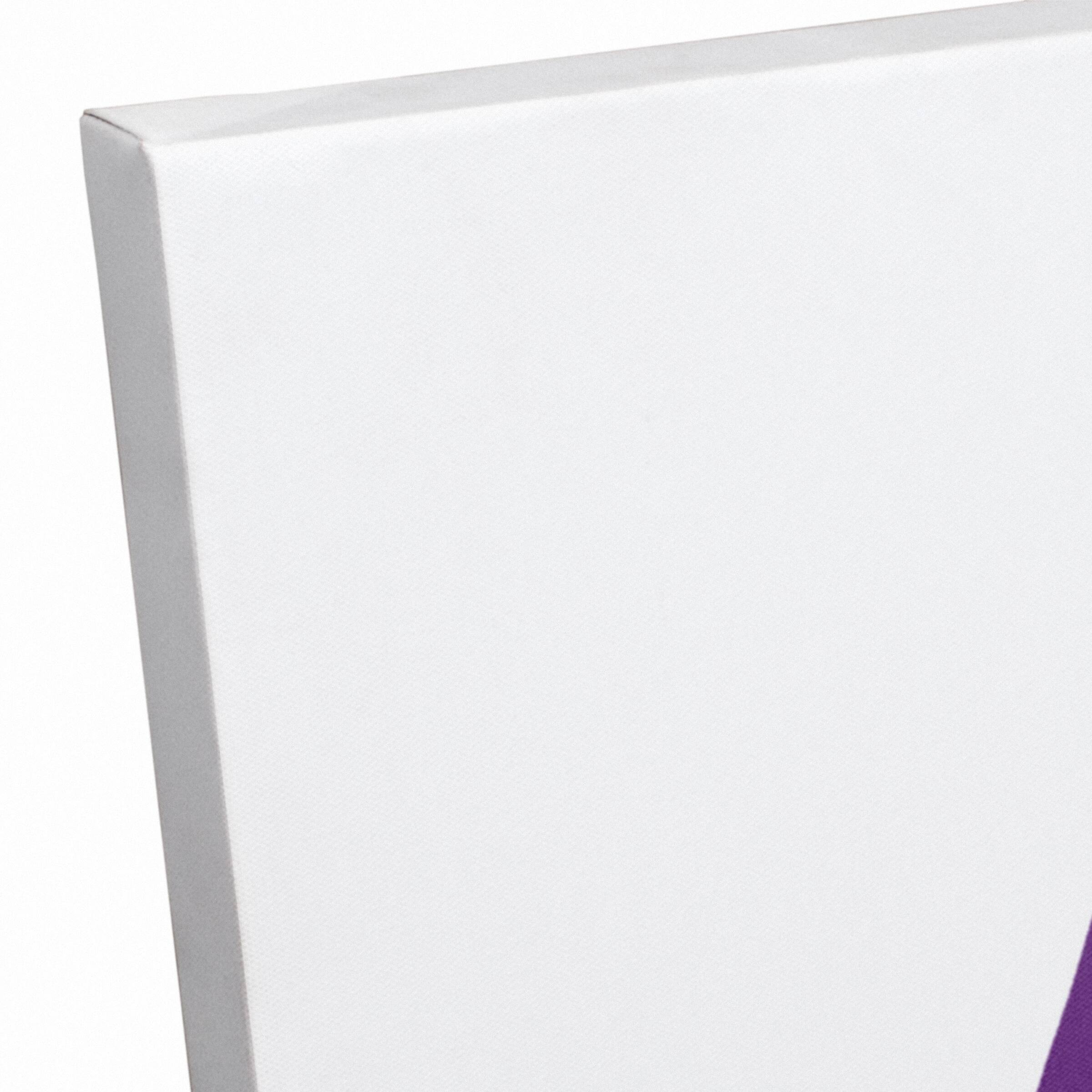 Laissez Les Bon Temps Rouler Mardi Gras Canvas Wall Art