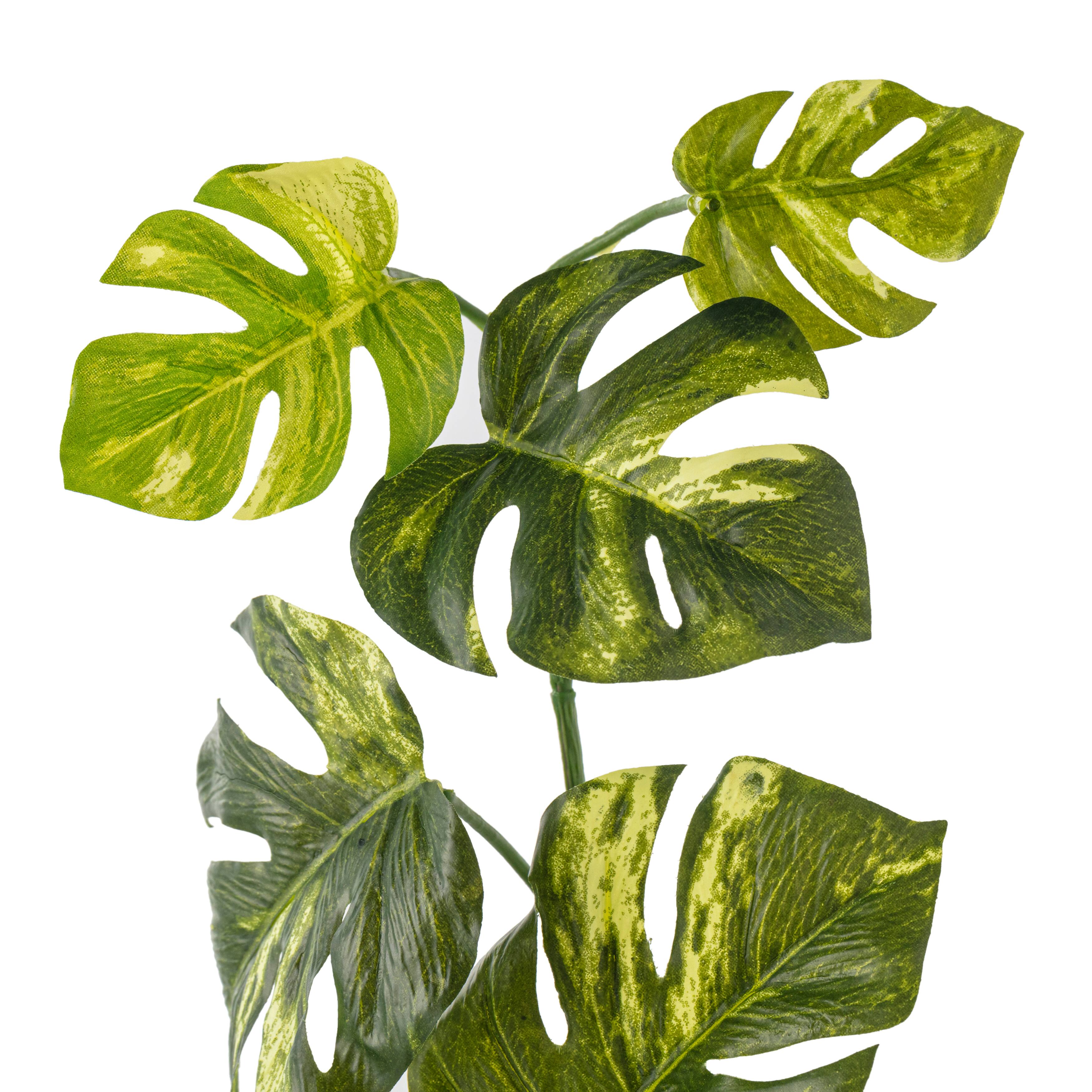 12 Pack: Split Hanging Philo Bush by Ashland®