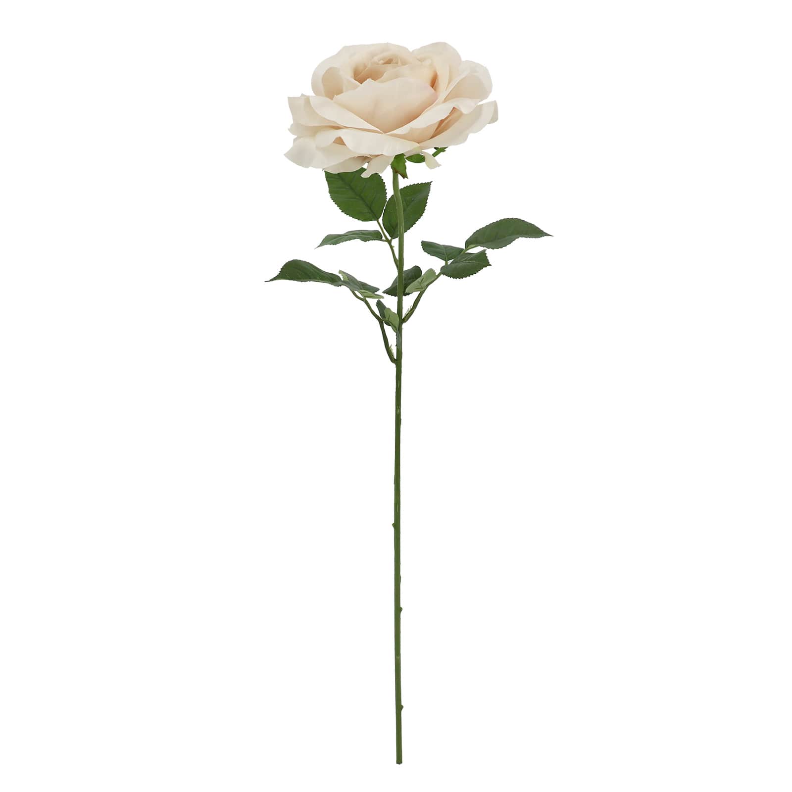 29" Beige Rose Stem by Ashland®