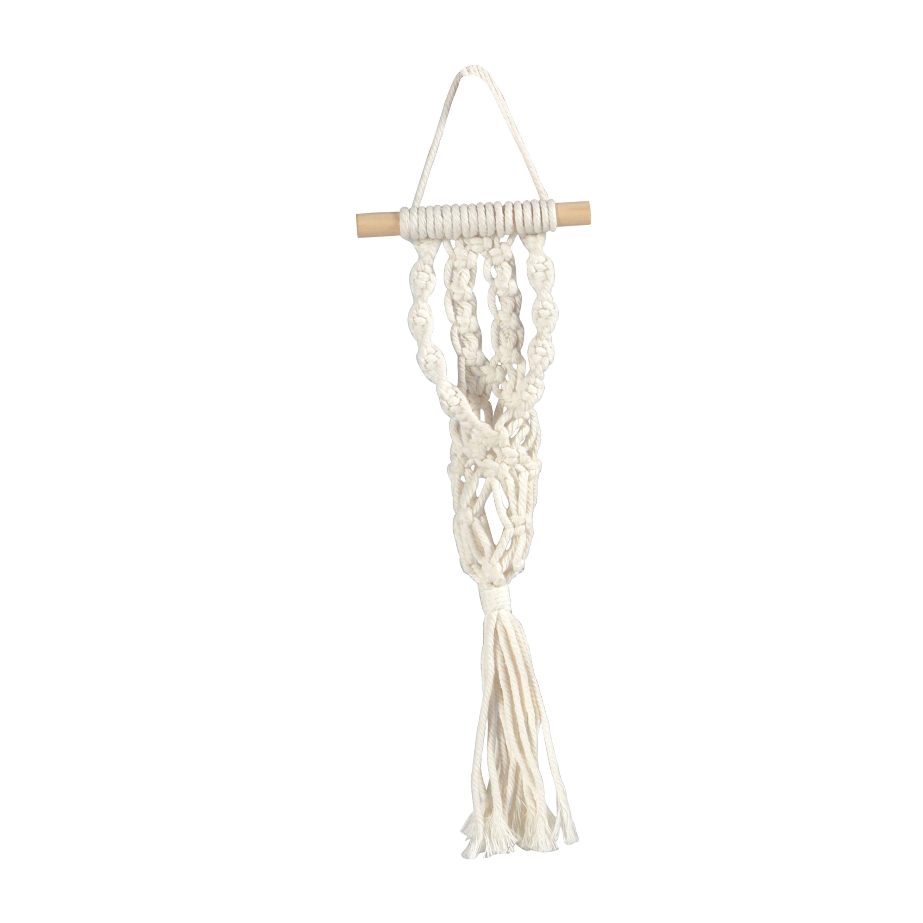 11&#x22; Mini Macrame Propagator by Ashland&#xAE;
