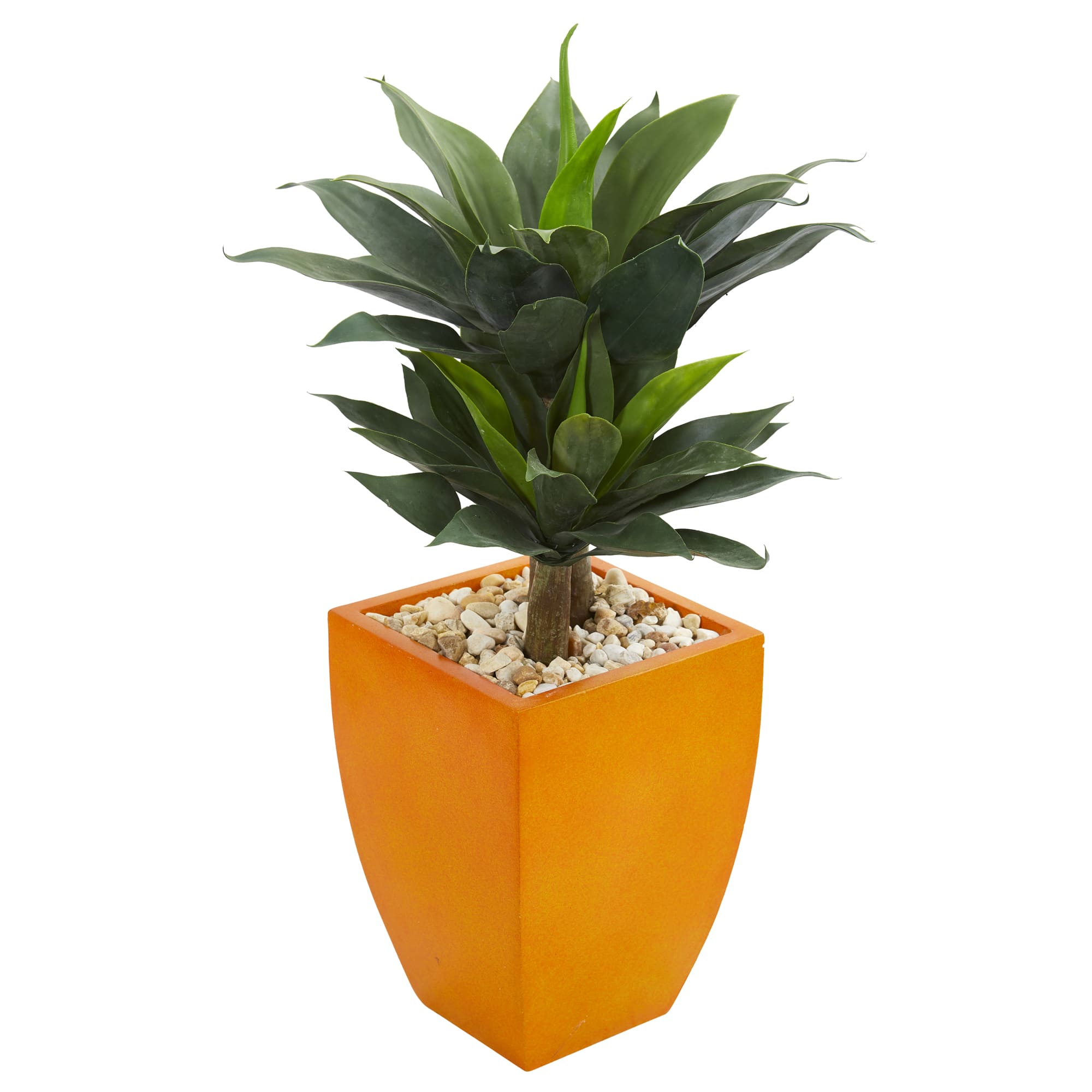 3ft. Double Agave Succulent Plant in Orange Planter