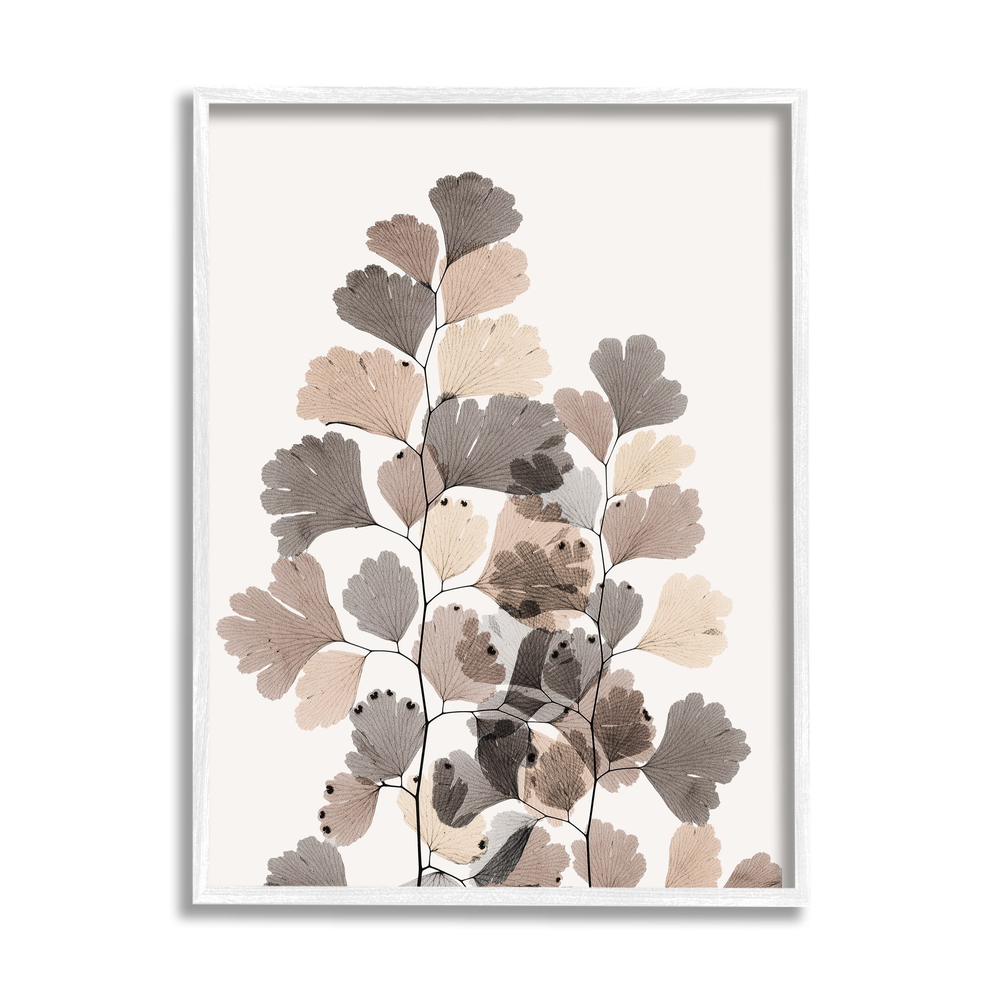 Stupell Industries Modern Ginkgo Leaf Arrangement Translucent Brown Grey Leaves Framed Wall Art