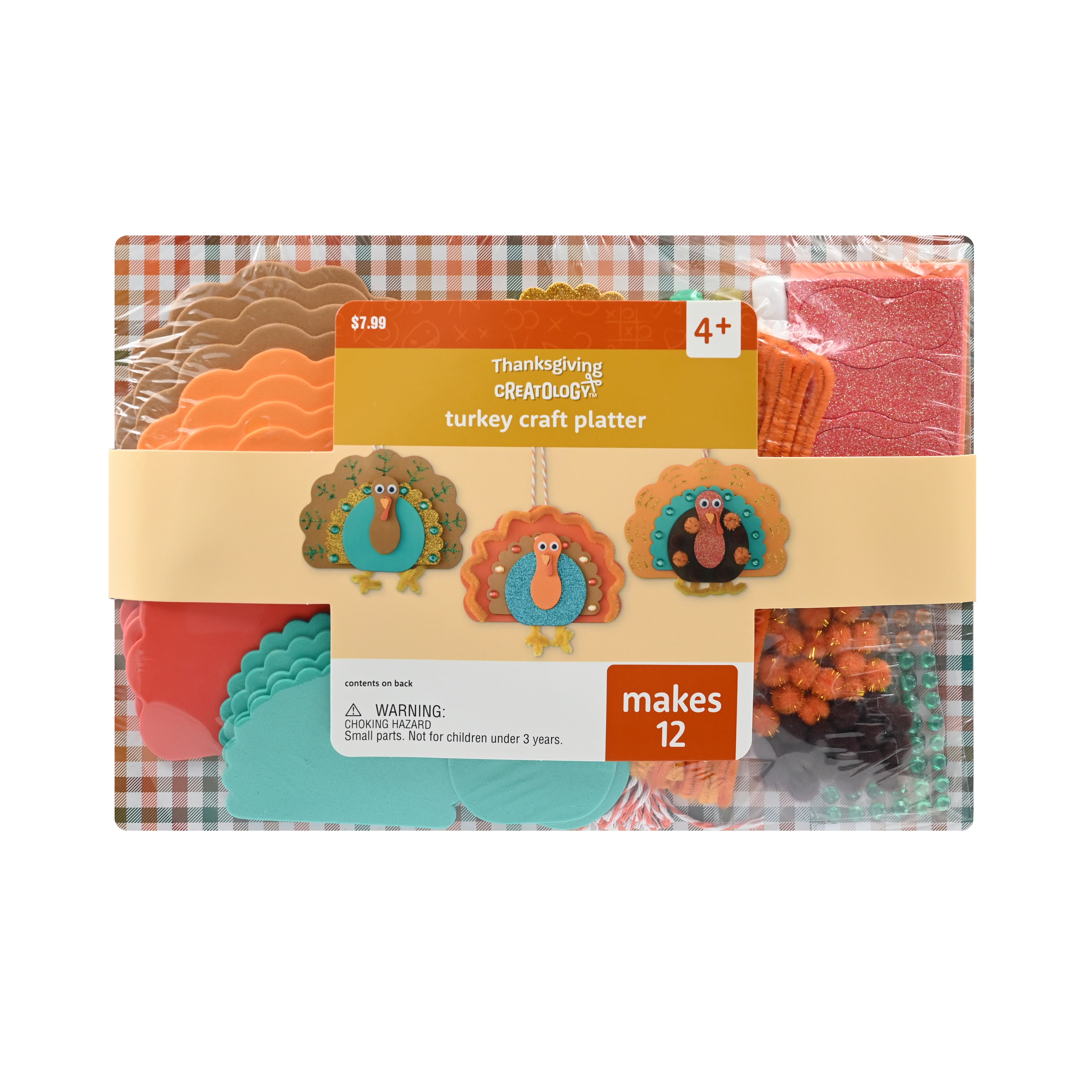 Turkey Craft Platter by Creatology&#x2122;