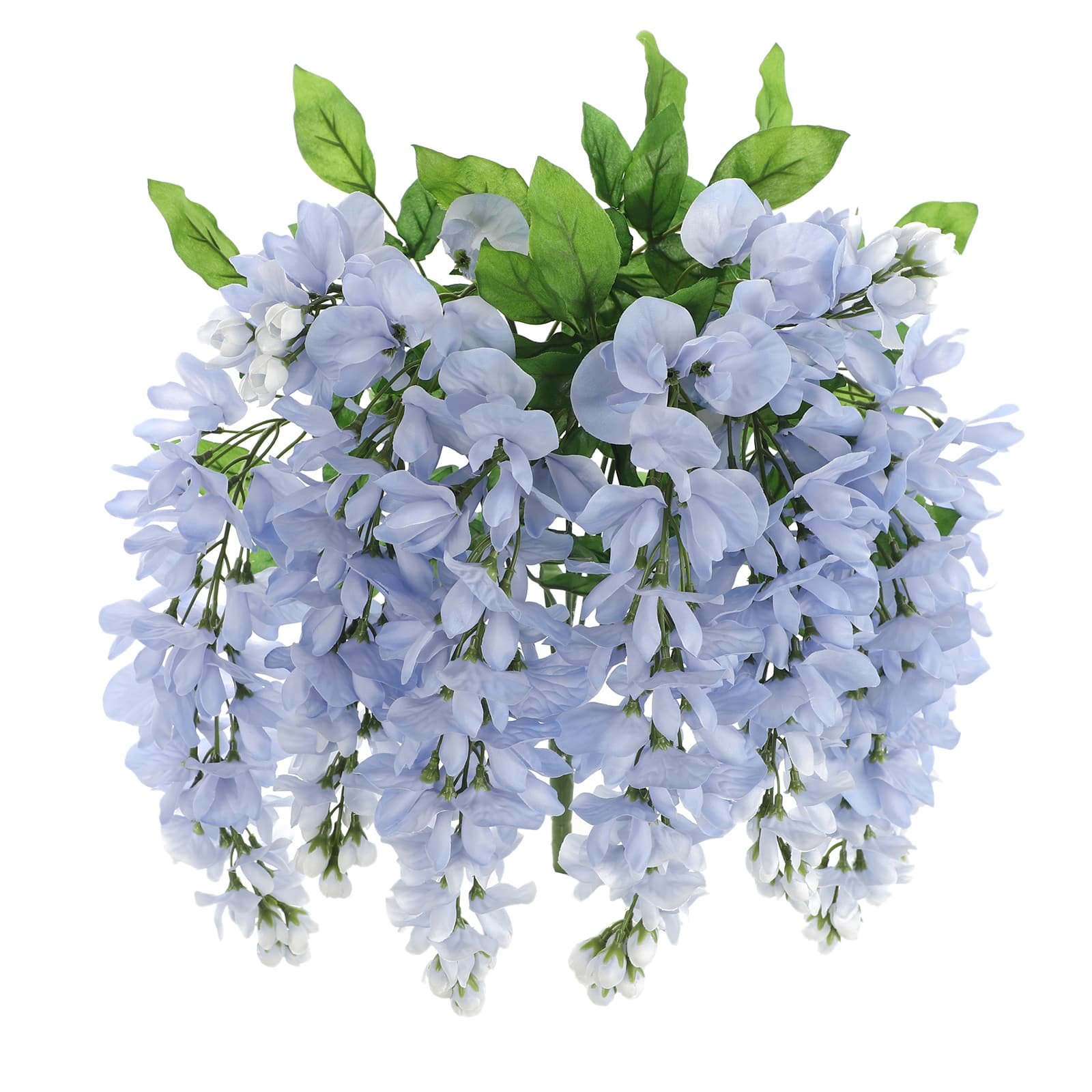 Blue Wisteria Bush by Ashland®