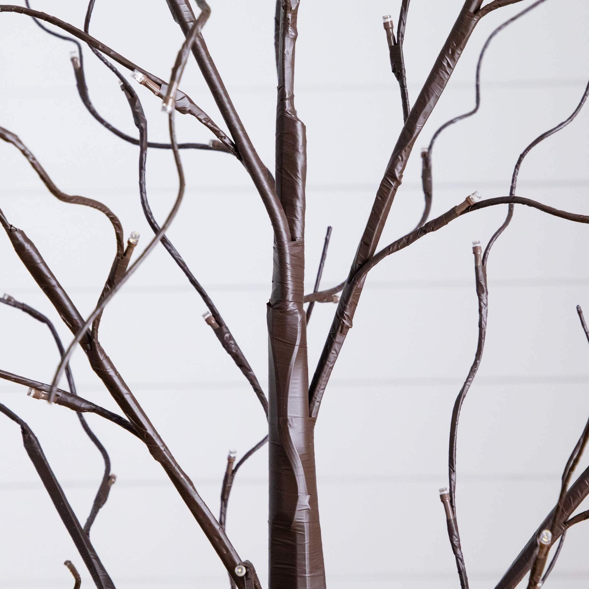 3ft. 5ft. 6ft. Artificial Brown Birch Trees with Warm White LED Lights - Set of 3