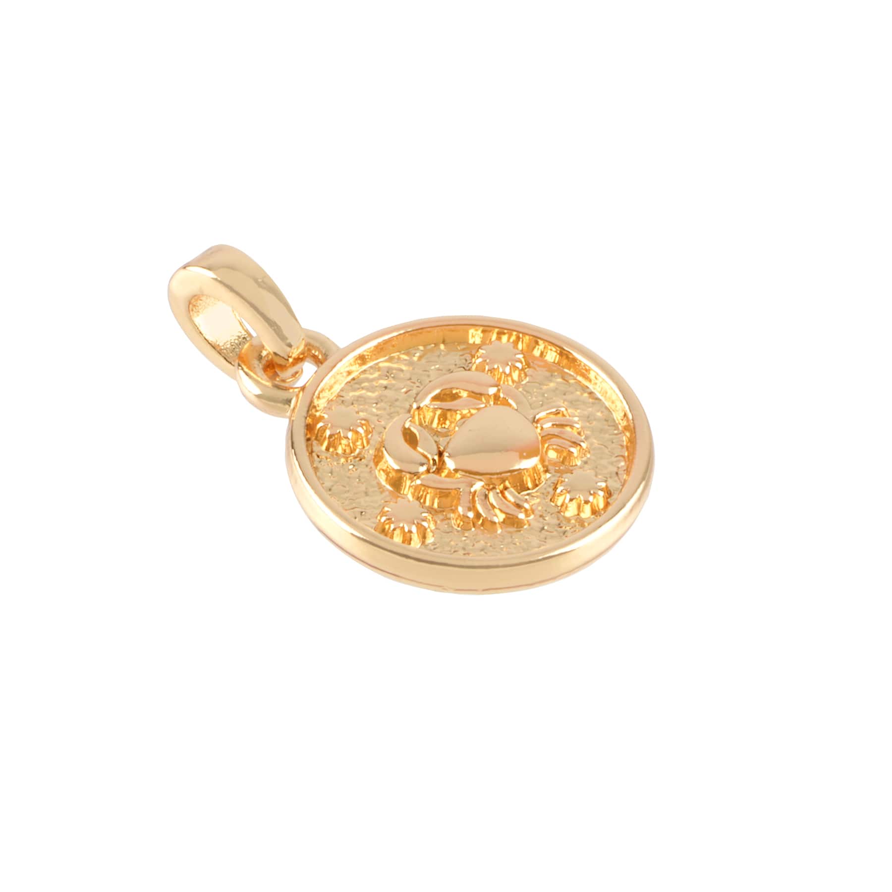 12 Pack: Metal Zodiac Coin Charm by Bead Landing™