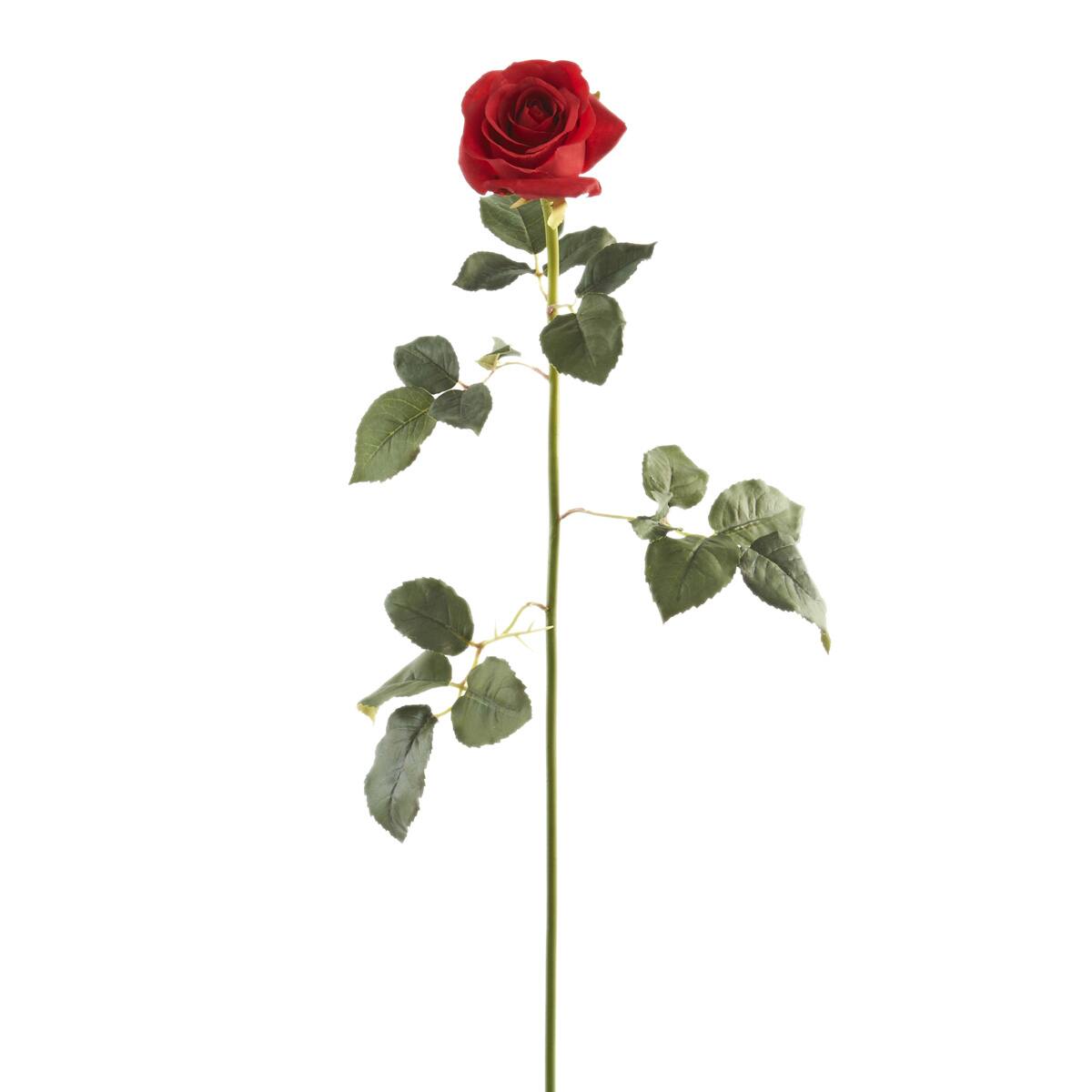 12 Pack: Red Dutch Rose Stem by Ashland&#xAE;
