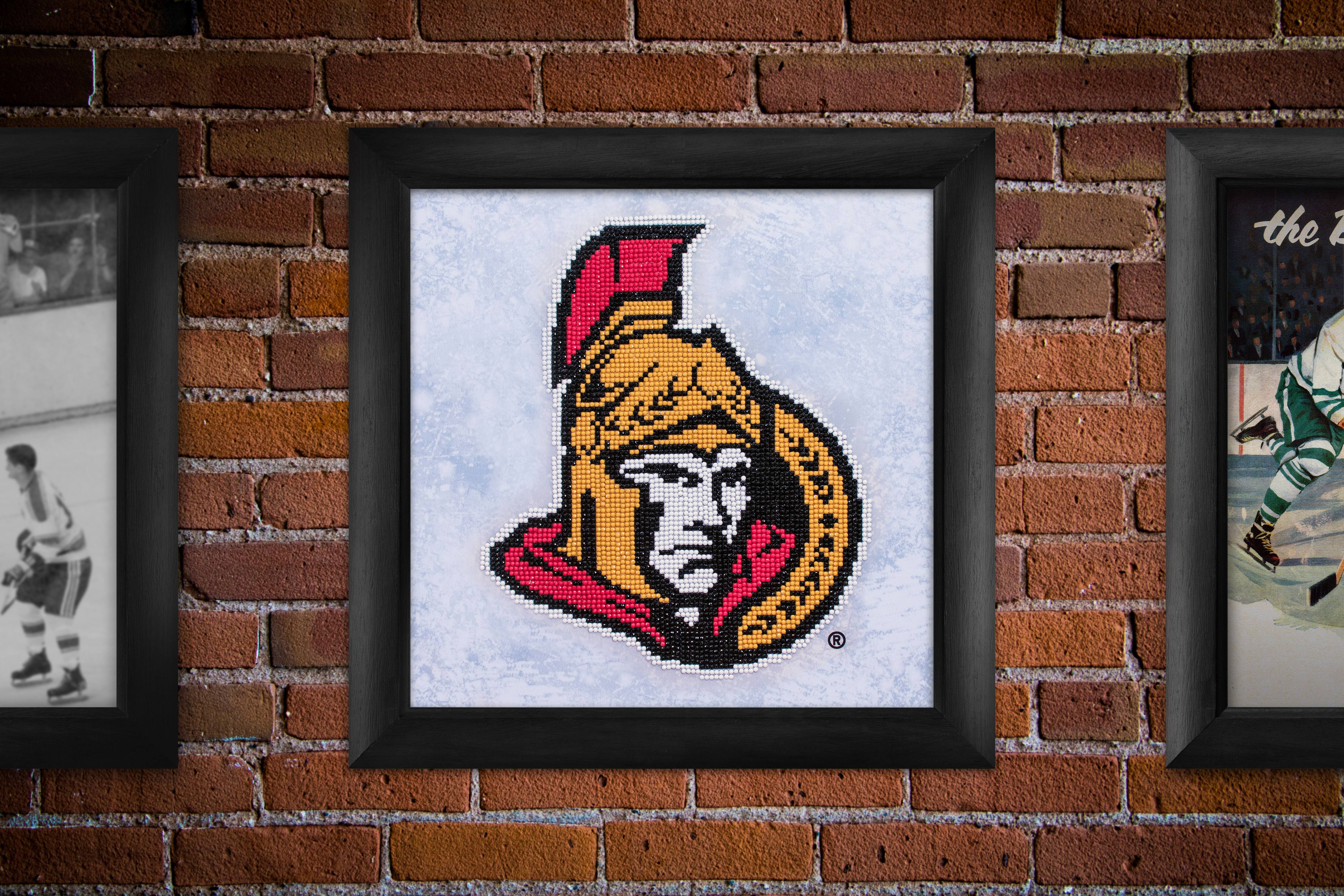 Camelot® Dots NHL Ottawa Senators Diamond Painting Kit