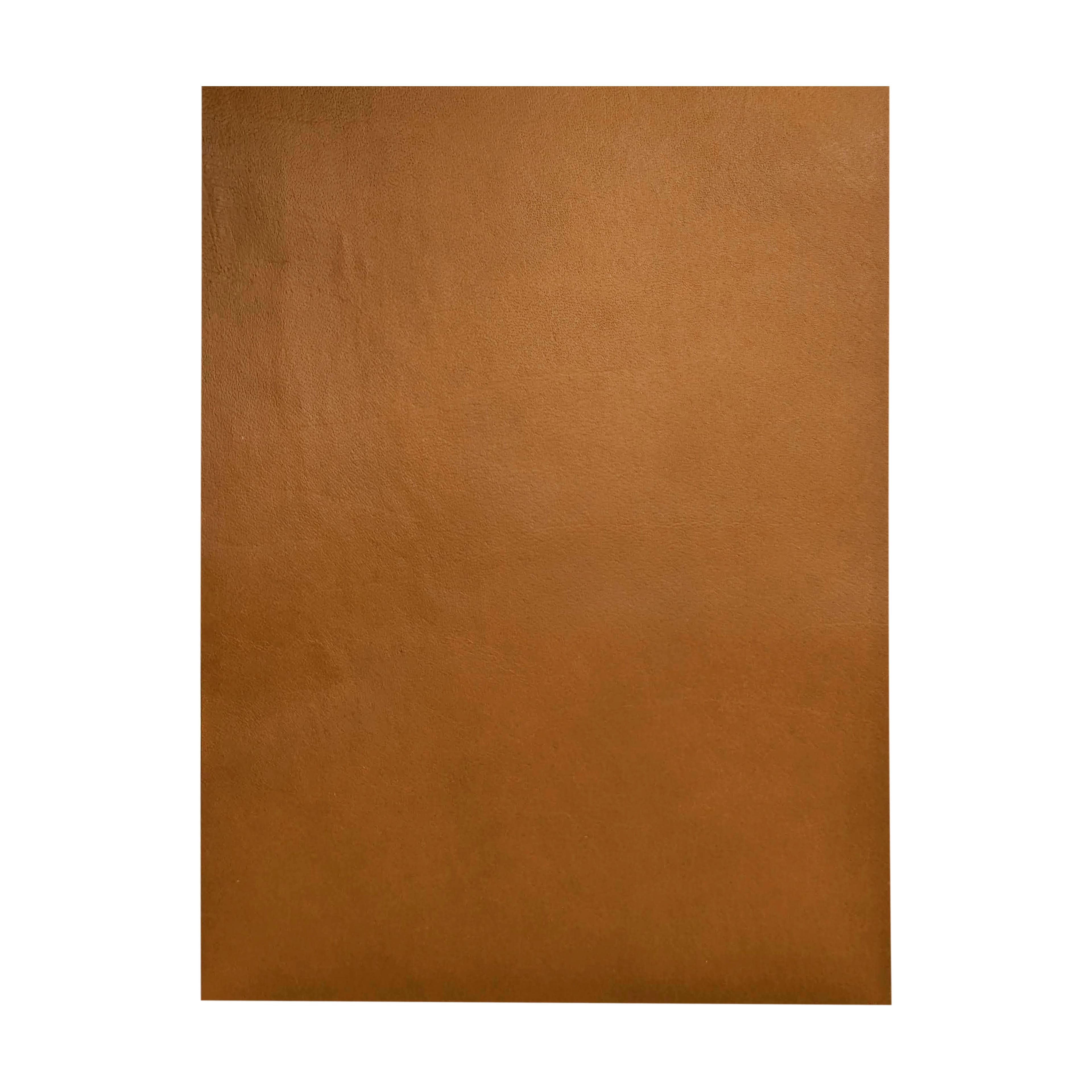 12 Pack: Prairie Leather Sheet by Make Market®