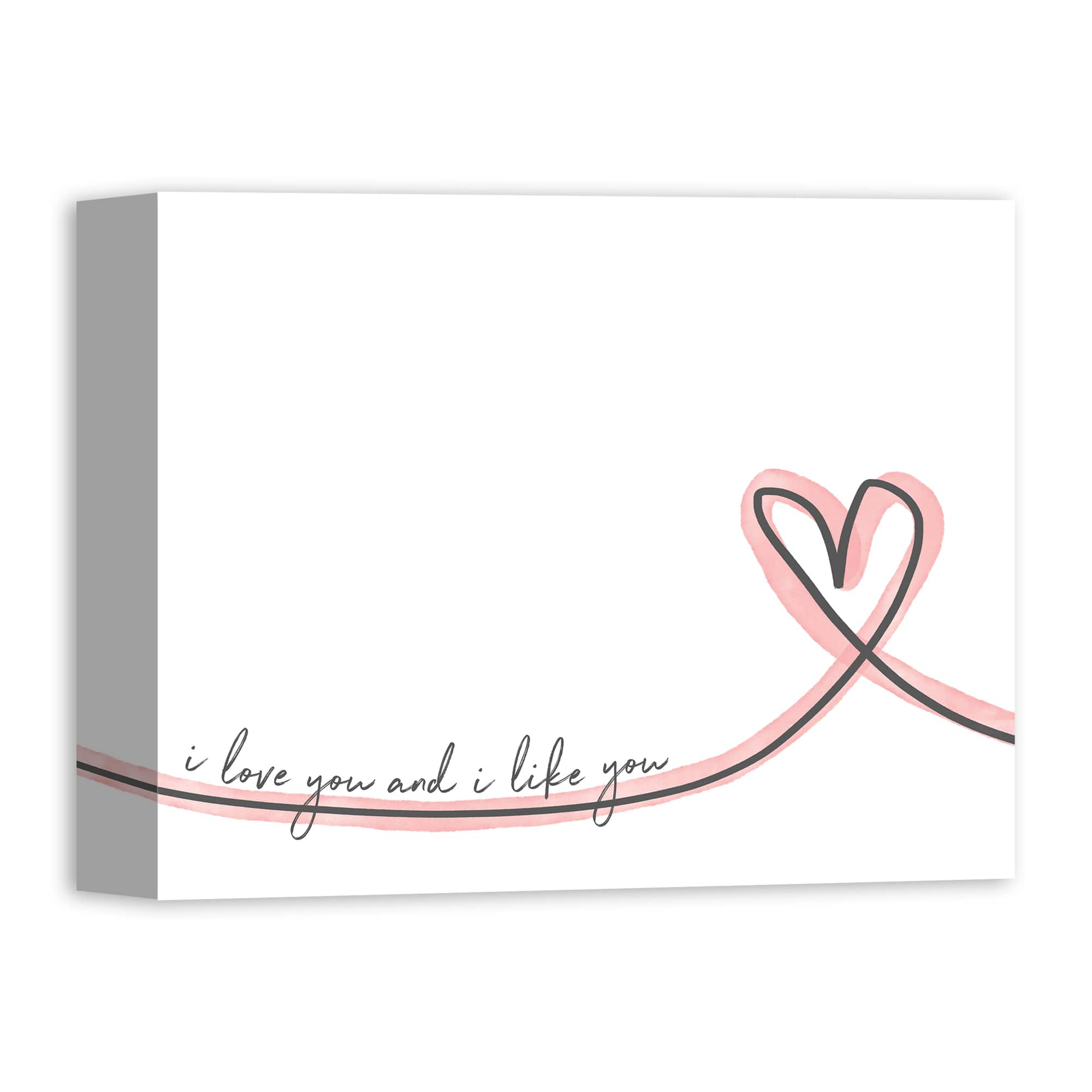 I Love You and I Like You Canvas Wall Art