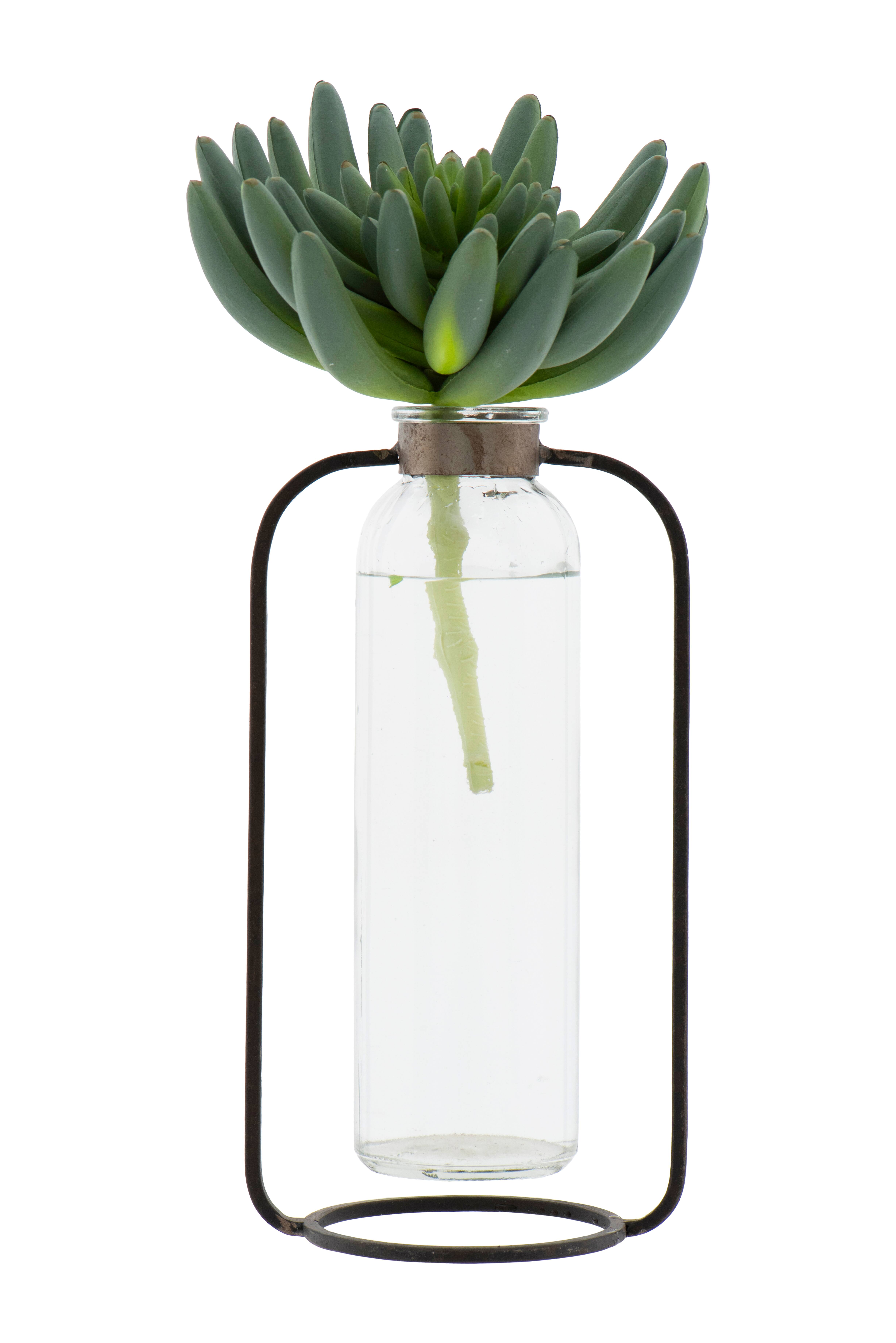 Hello Honey® 8.5" Clear Glass Vase in Black Metal Stand