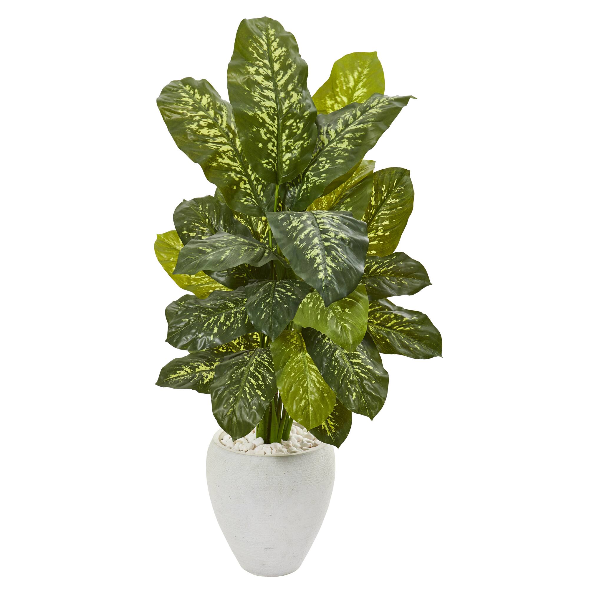 4ft. Real Touch™ Dumb Cane Plant in White Planter
