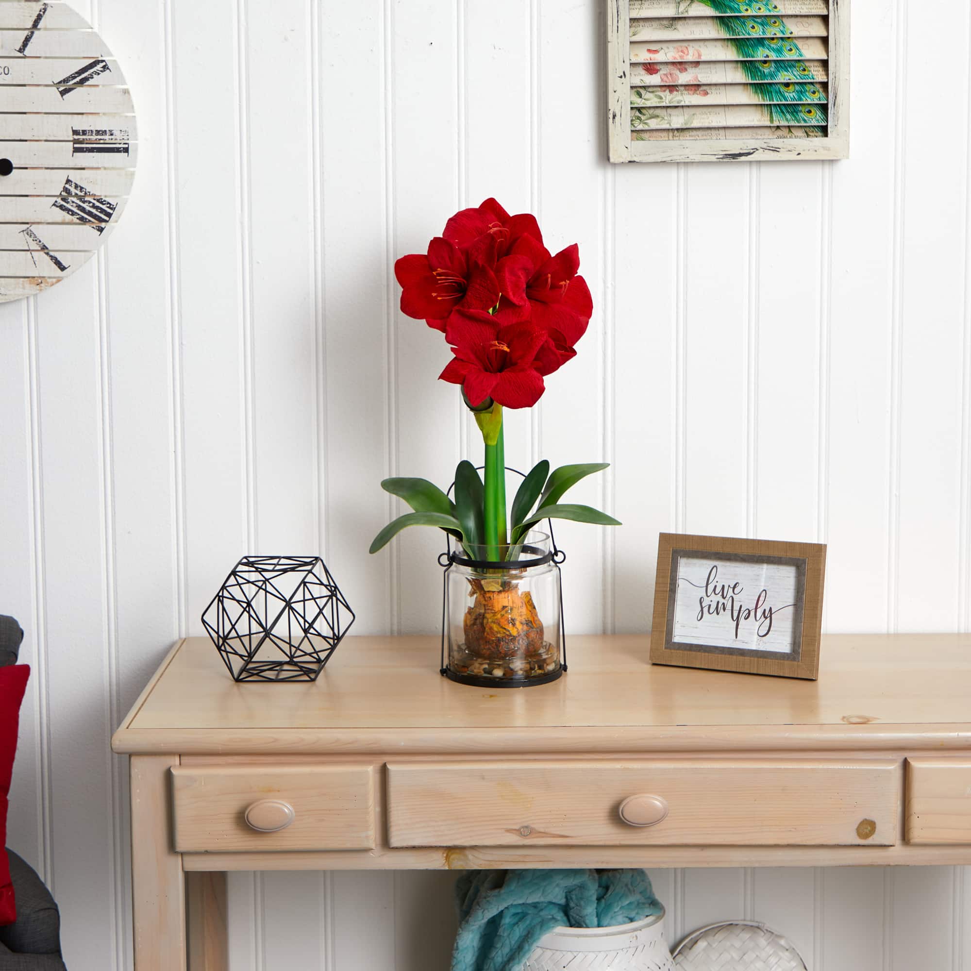 24" Red Amaryllis in Glass Vase