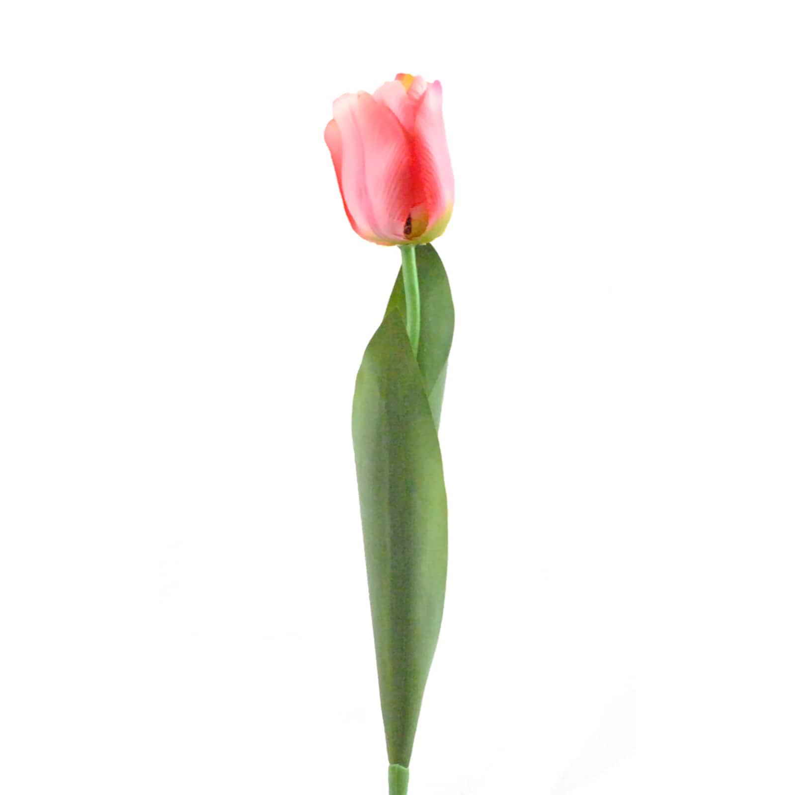 DII&#xAE; Pink Flower Tulip Set, 4ct.