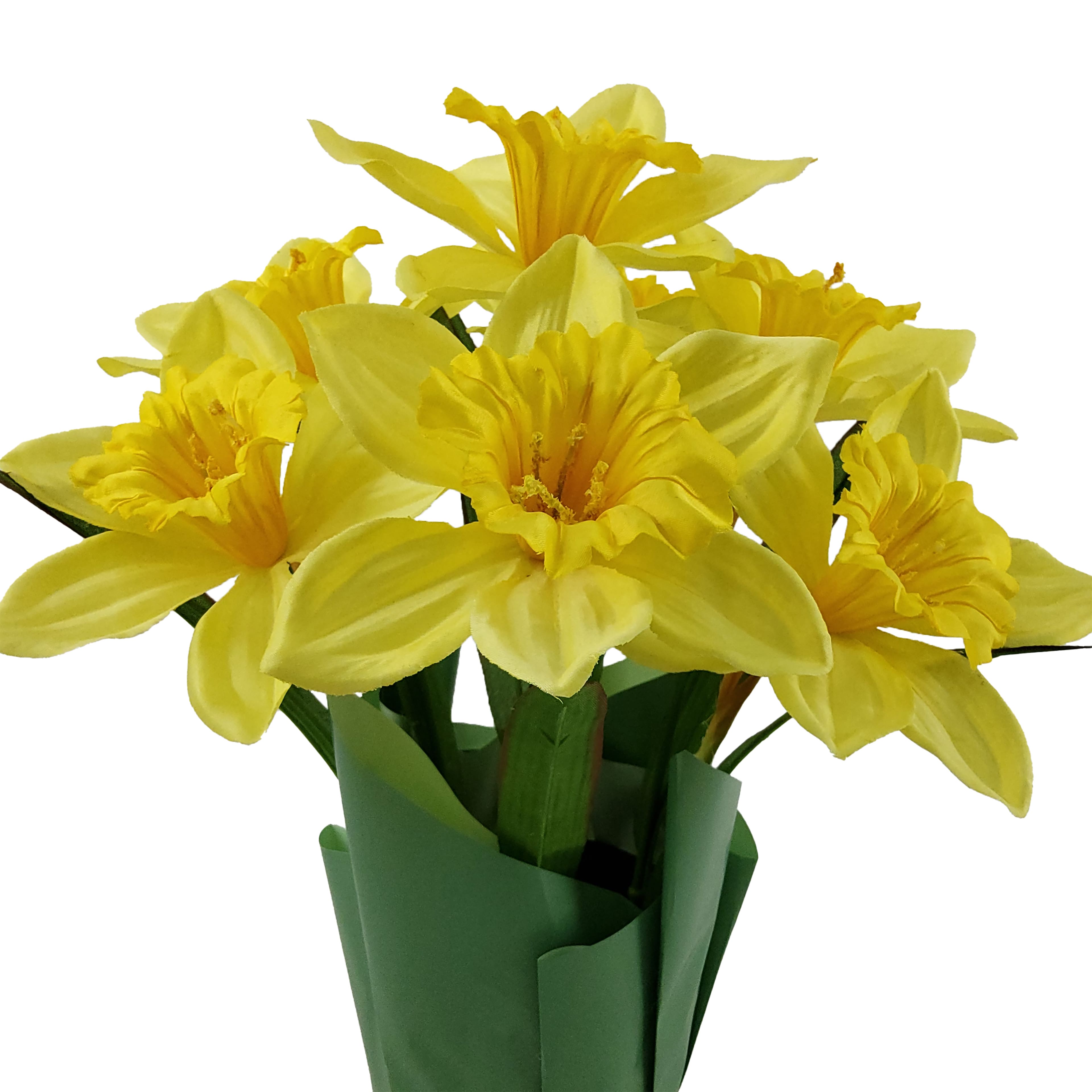 14&#x22; Potted Daffodil Plant by Ashland&#xAE;