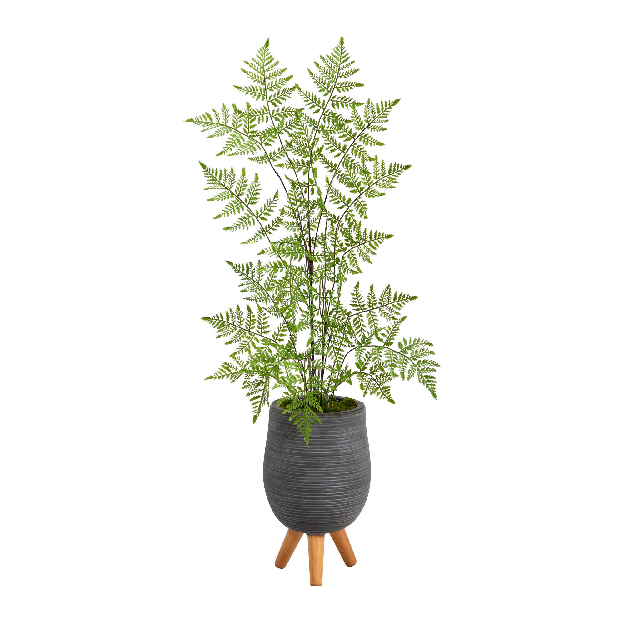 3ft. Ruffle Fern Tree in Gray Planter with Stand