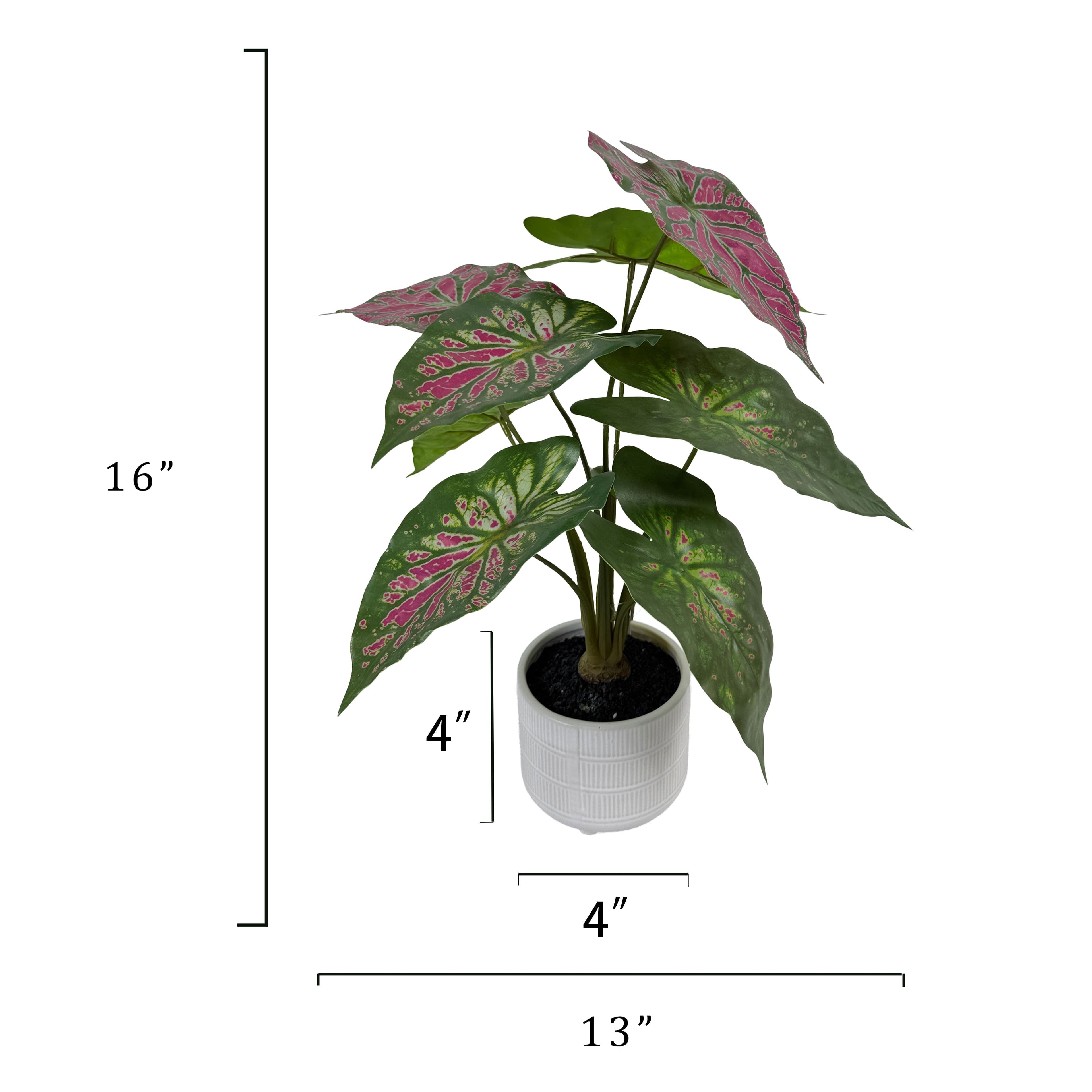 16&#x22; Caladium in White Ceramic Pot by Ashland&#xAE;