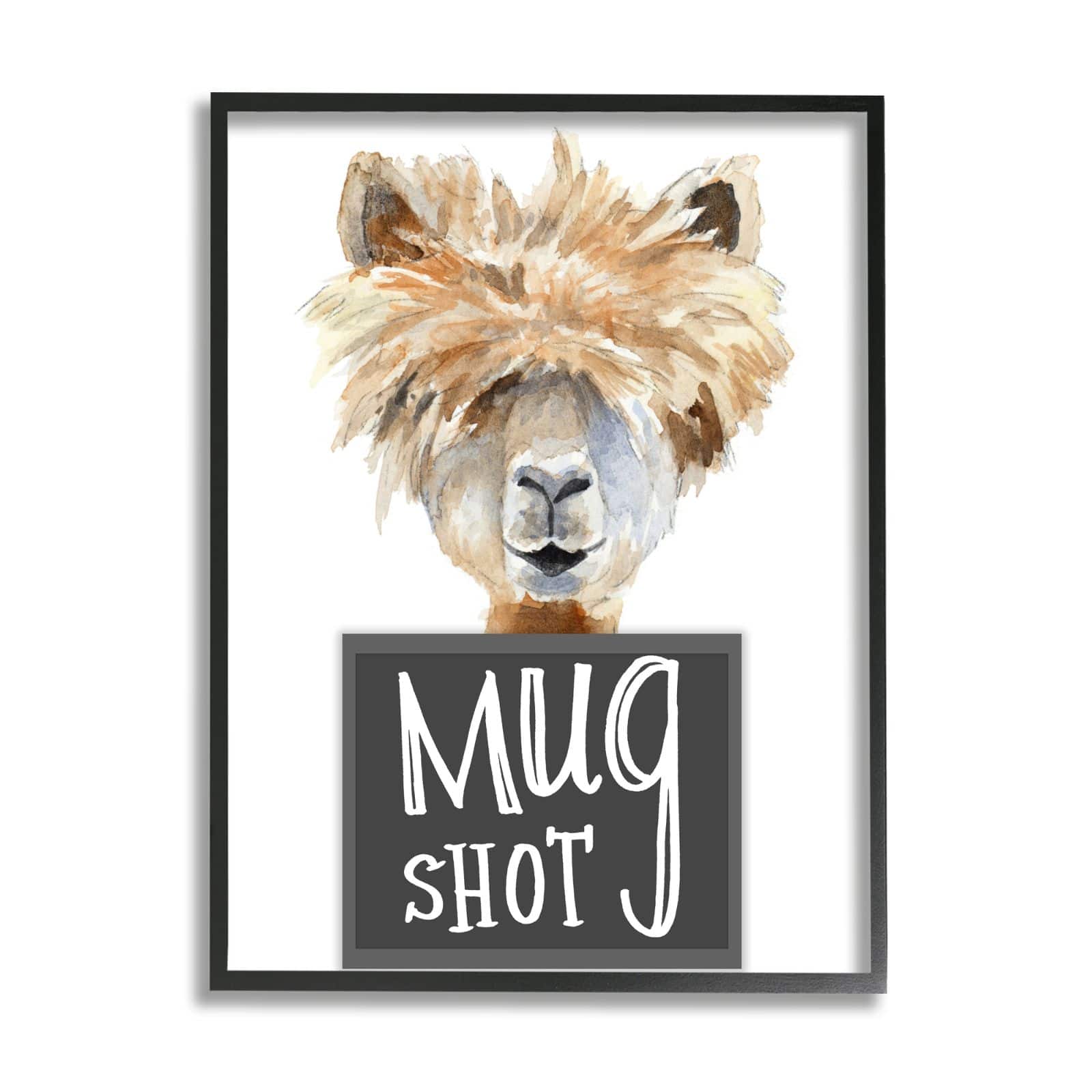 Stupell Industries Fluffy Hair Alpaca Animal Mugshot Funny Portrait Framed Wall Art