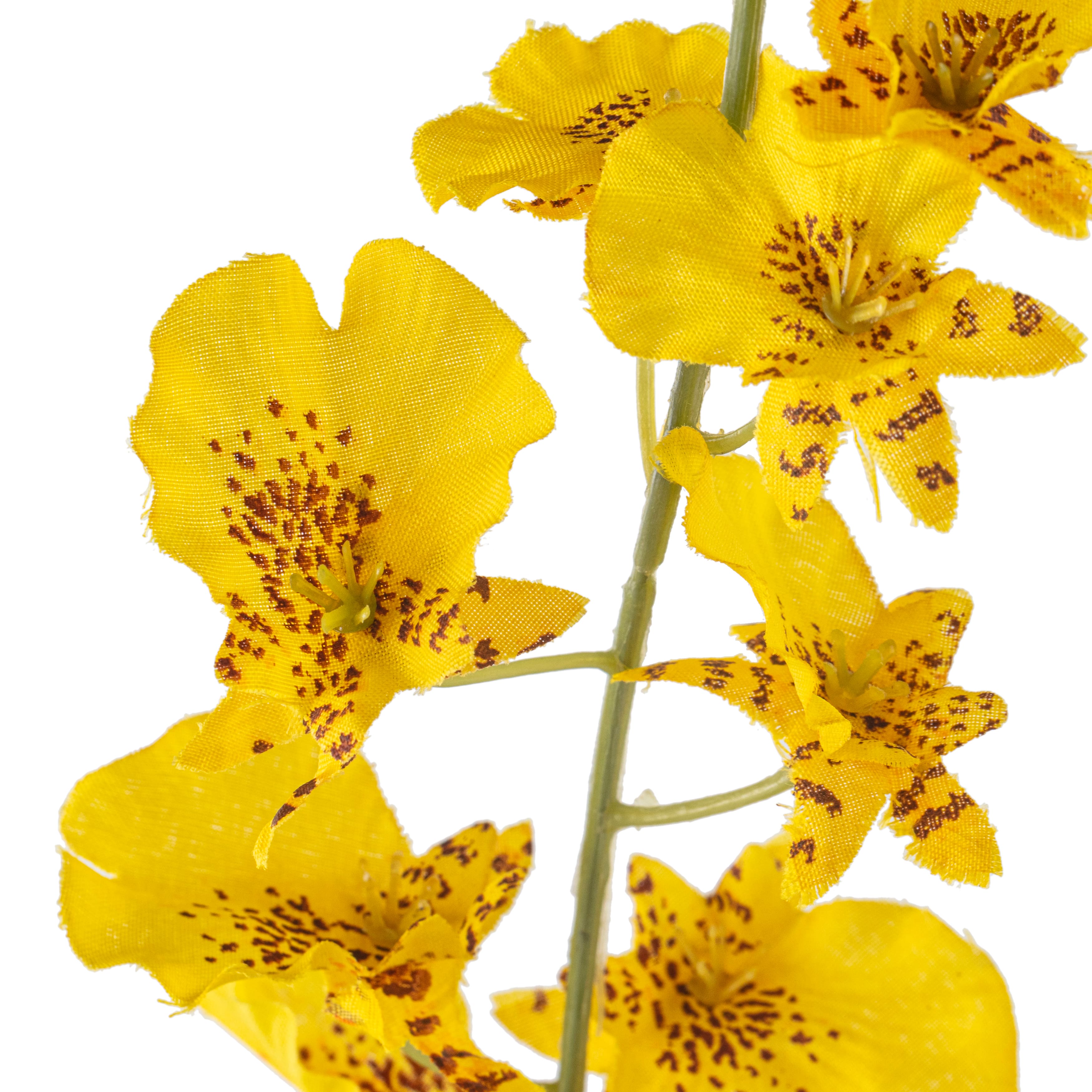 12 Pack: Yellow Dancing Orchid by Ashland&#xAE;