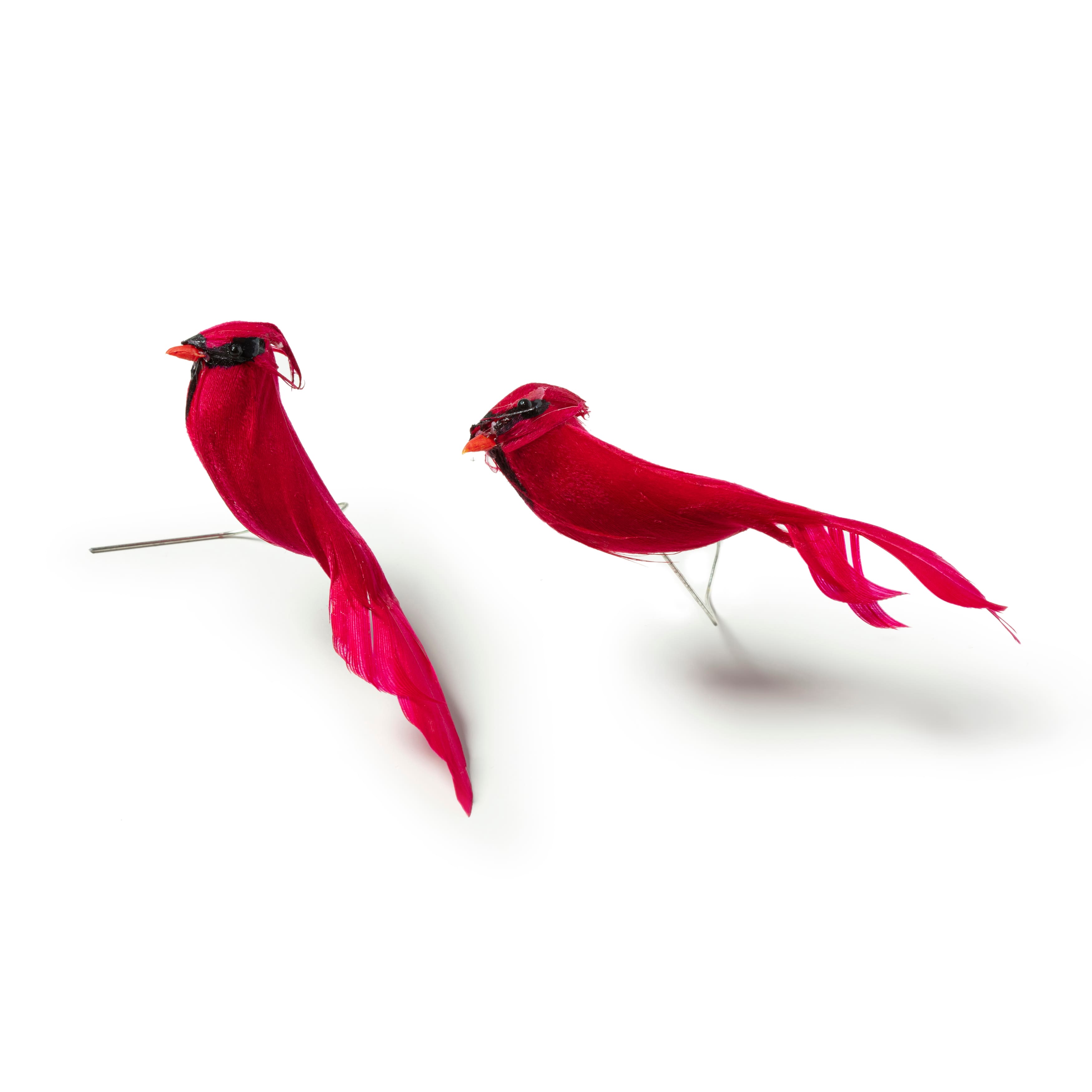 METAL MAGNET Large Male Cardinal Bird Birds Cardinals Fall Season MAGNET 