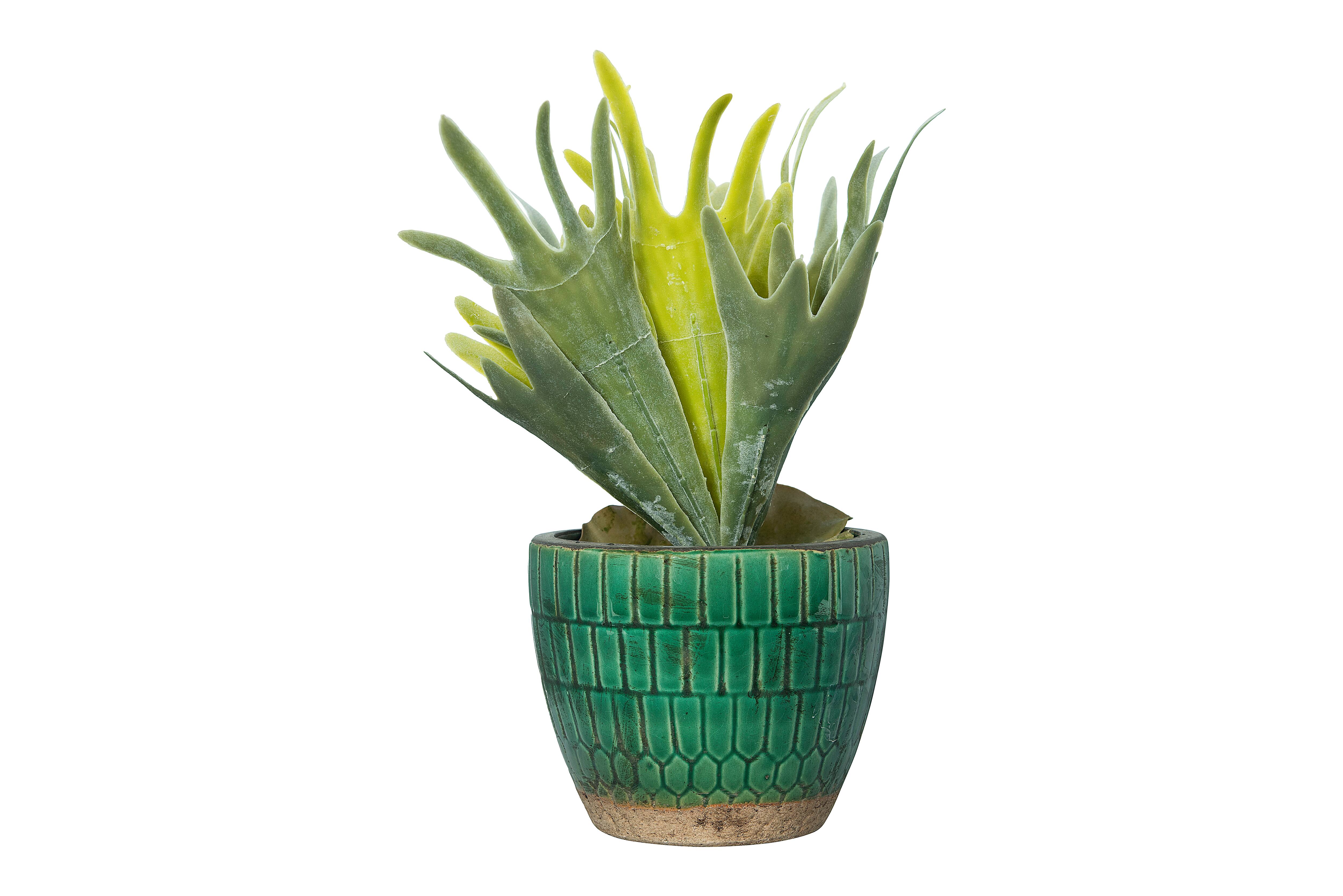 Hello Honey® Distressed Green Tile Terracotta Planter