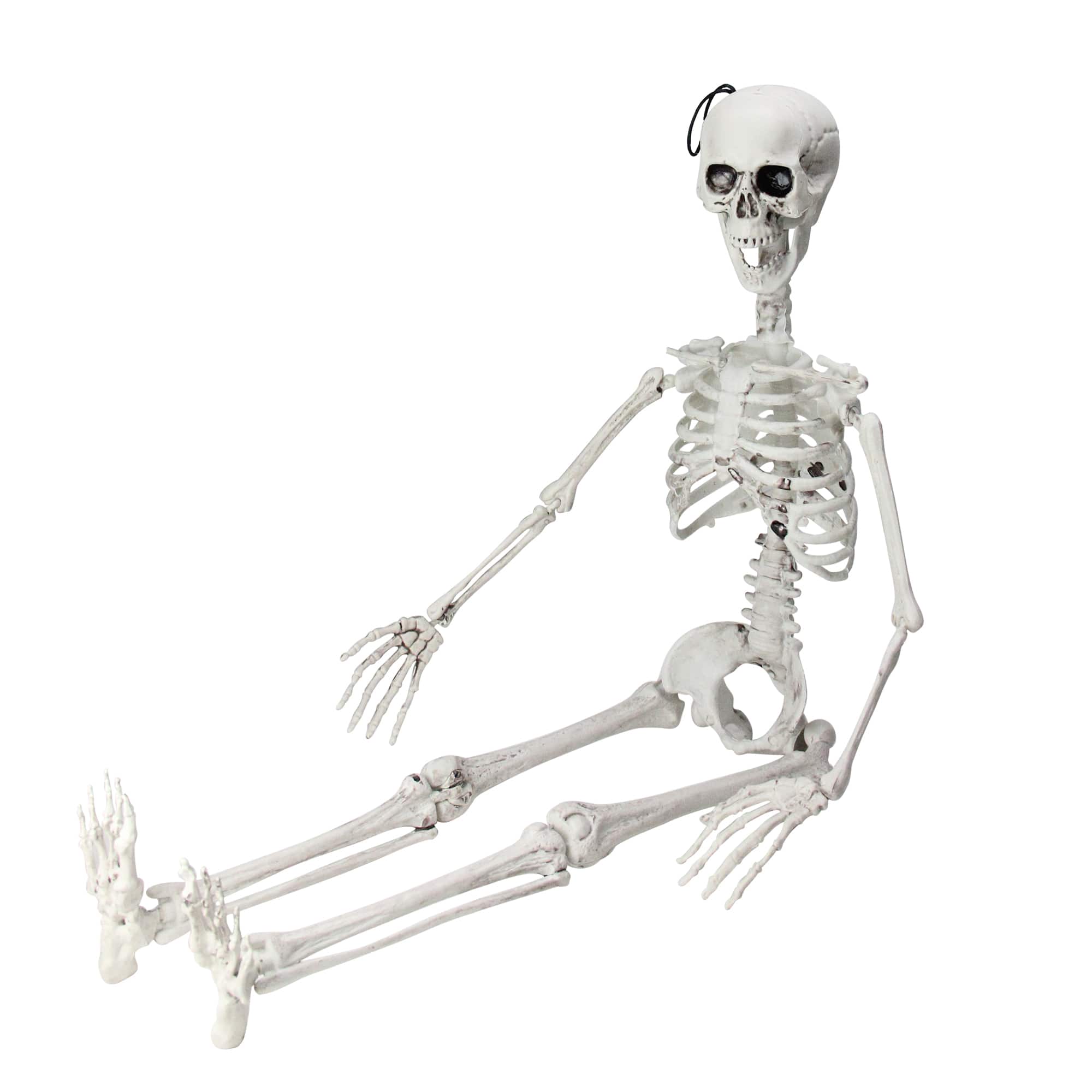 35" Jointed Hanging Skeleton Halloween Decoration