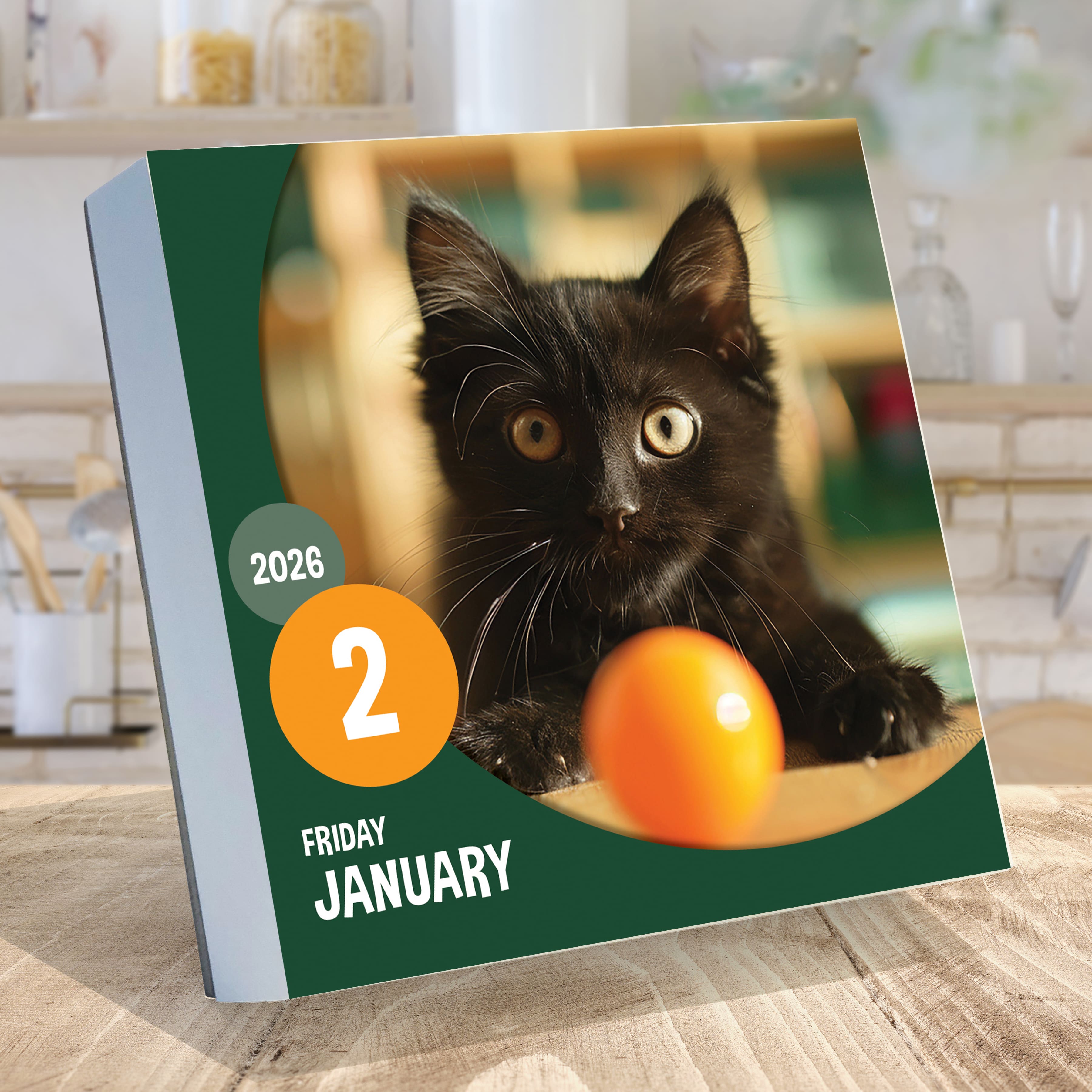 2026 Cat A Day Daily Desktop Calendar
