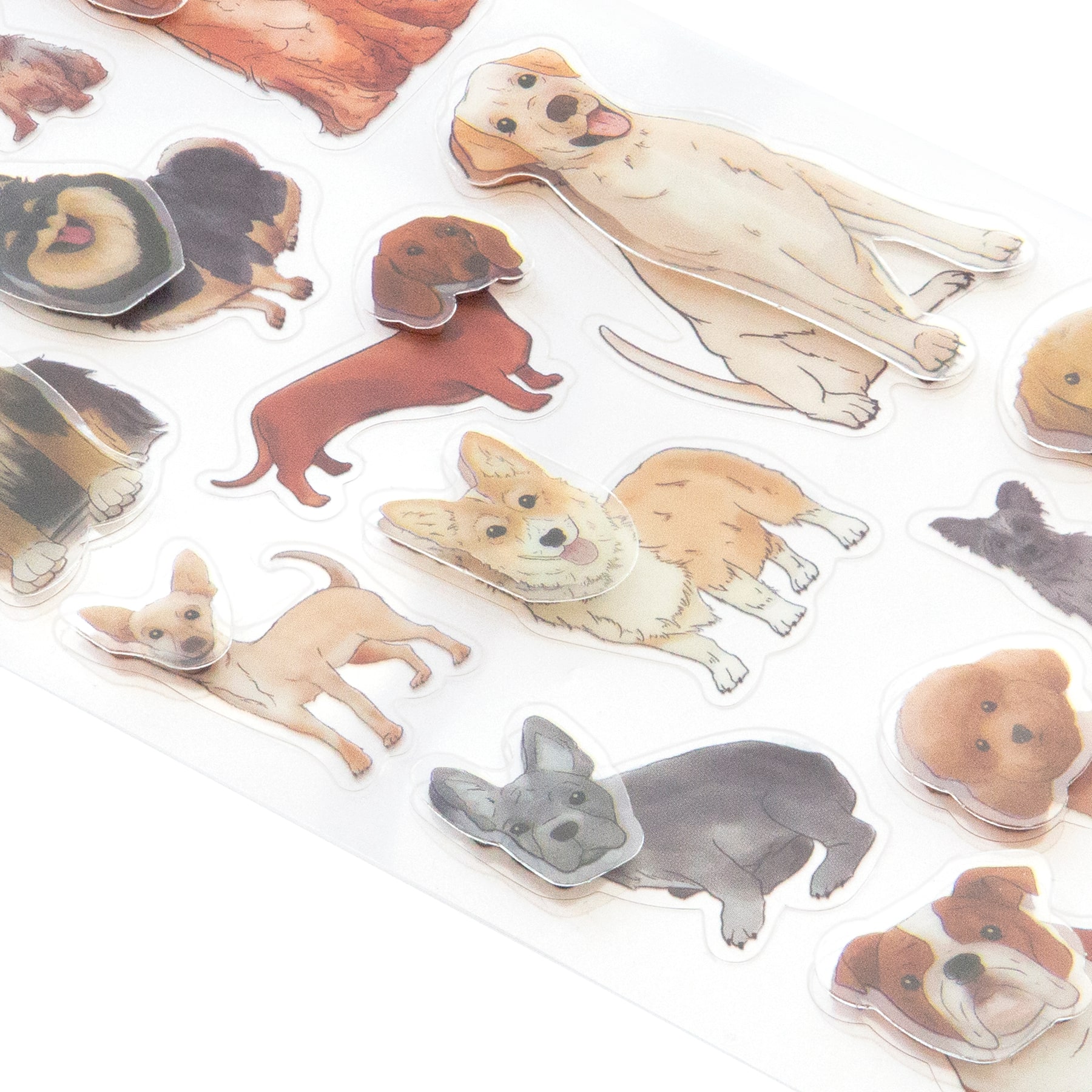 12 Pack: Dog Breeds Dimensional Stickers by Recollections™