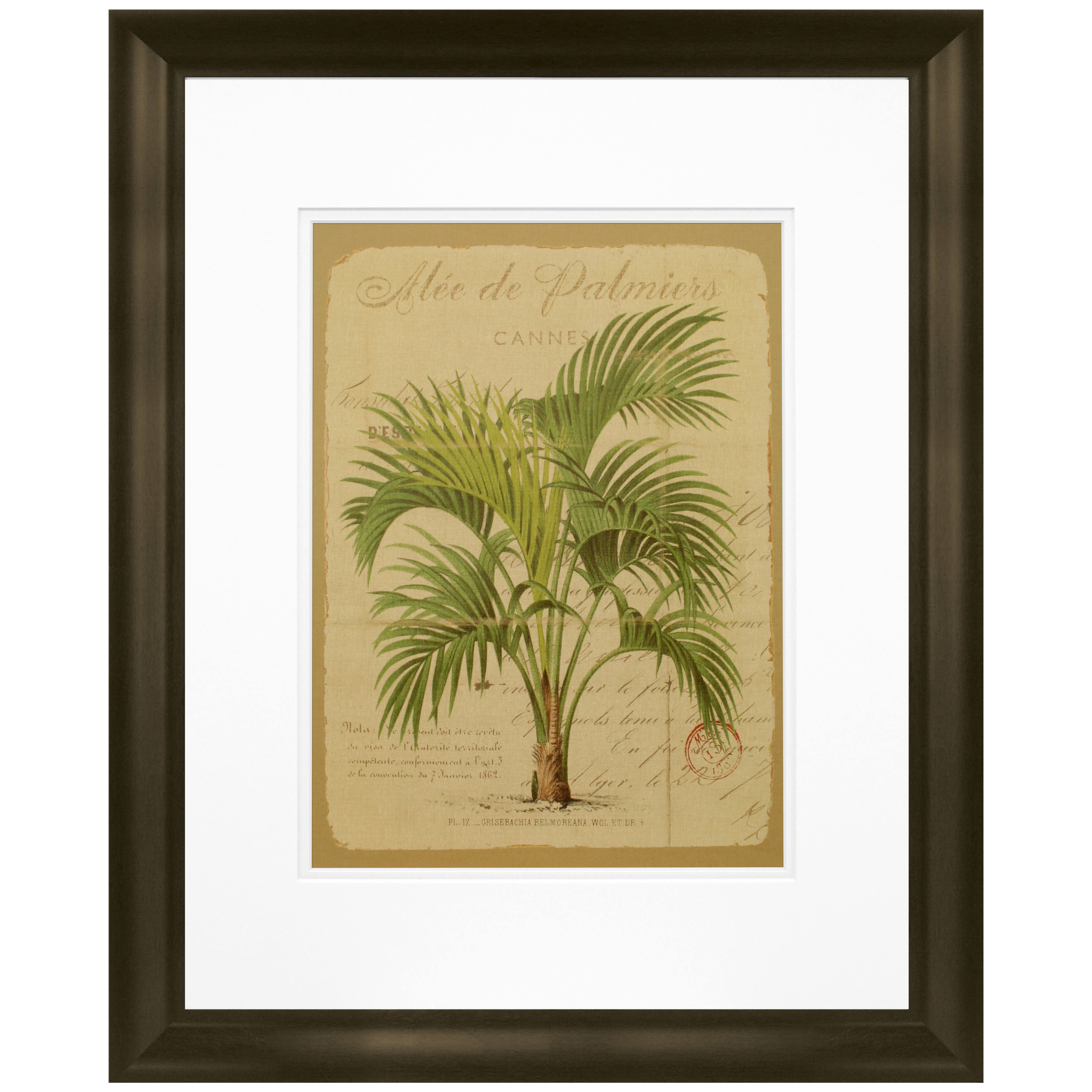 Timeless Frames® Alle De Palmiers Framed Wall Décor