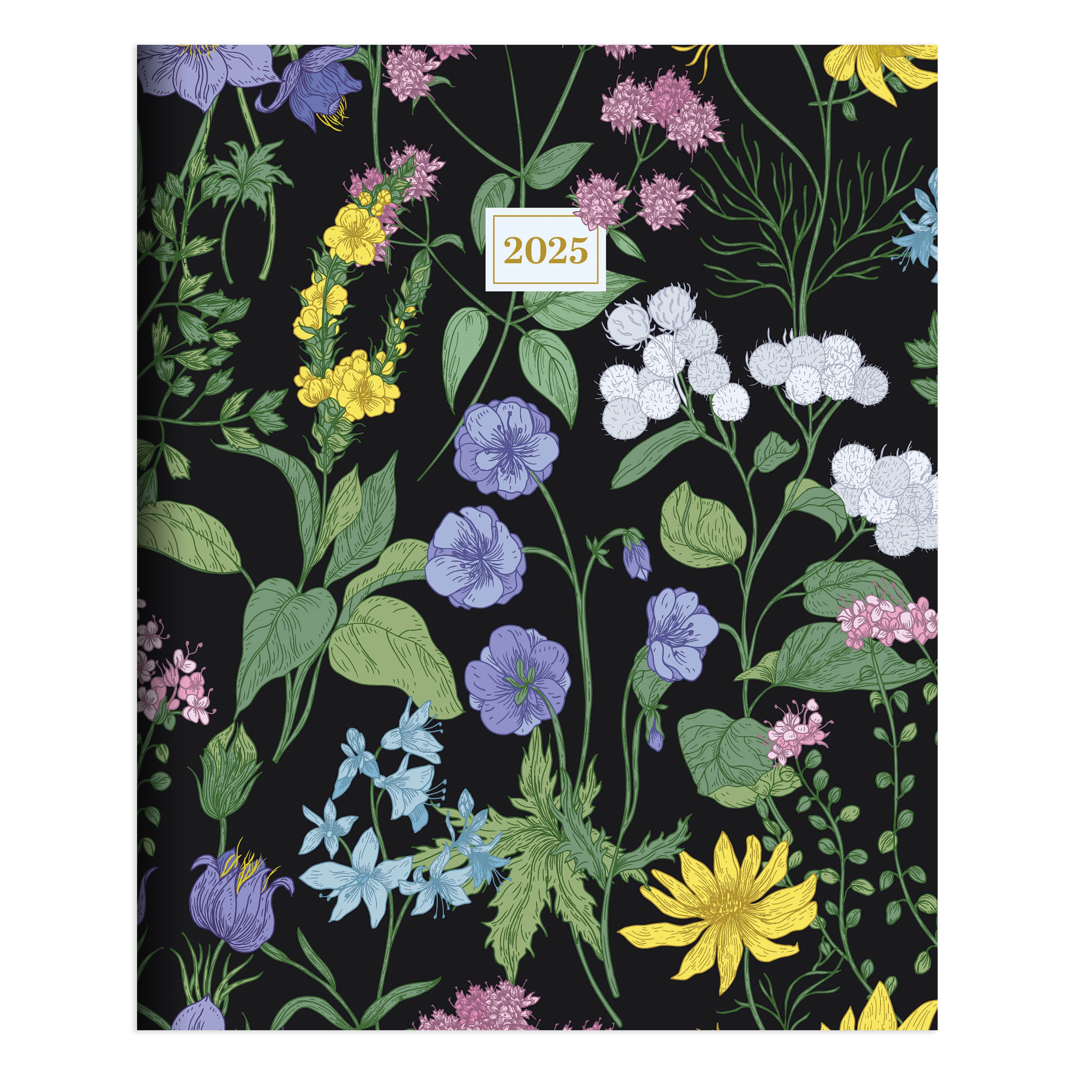 TF Publishing 2025 Garden Blooms Medium Monthly Planner