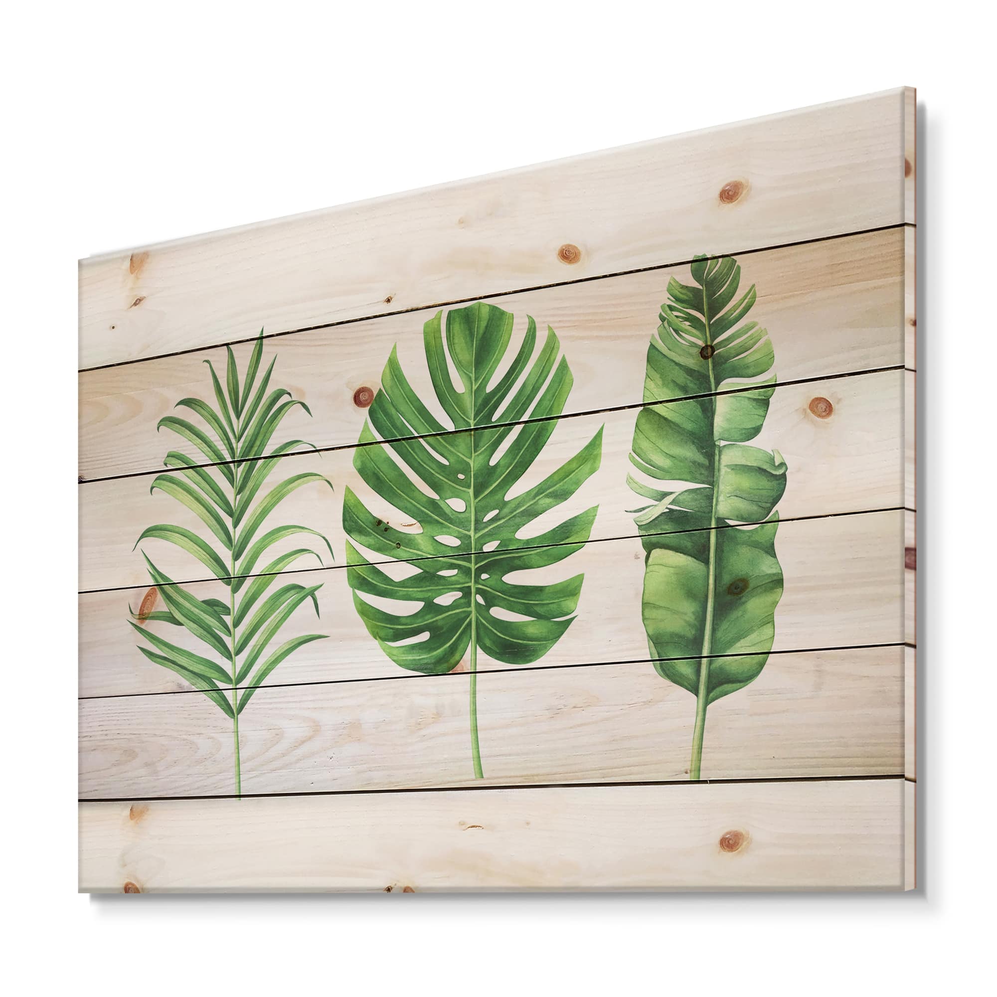 Designart - Tropical Leaf Of Monstera IV