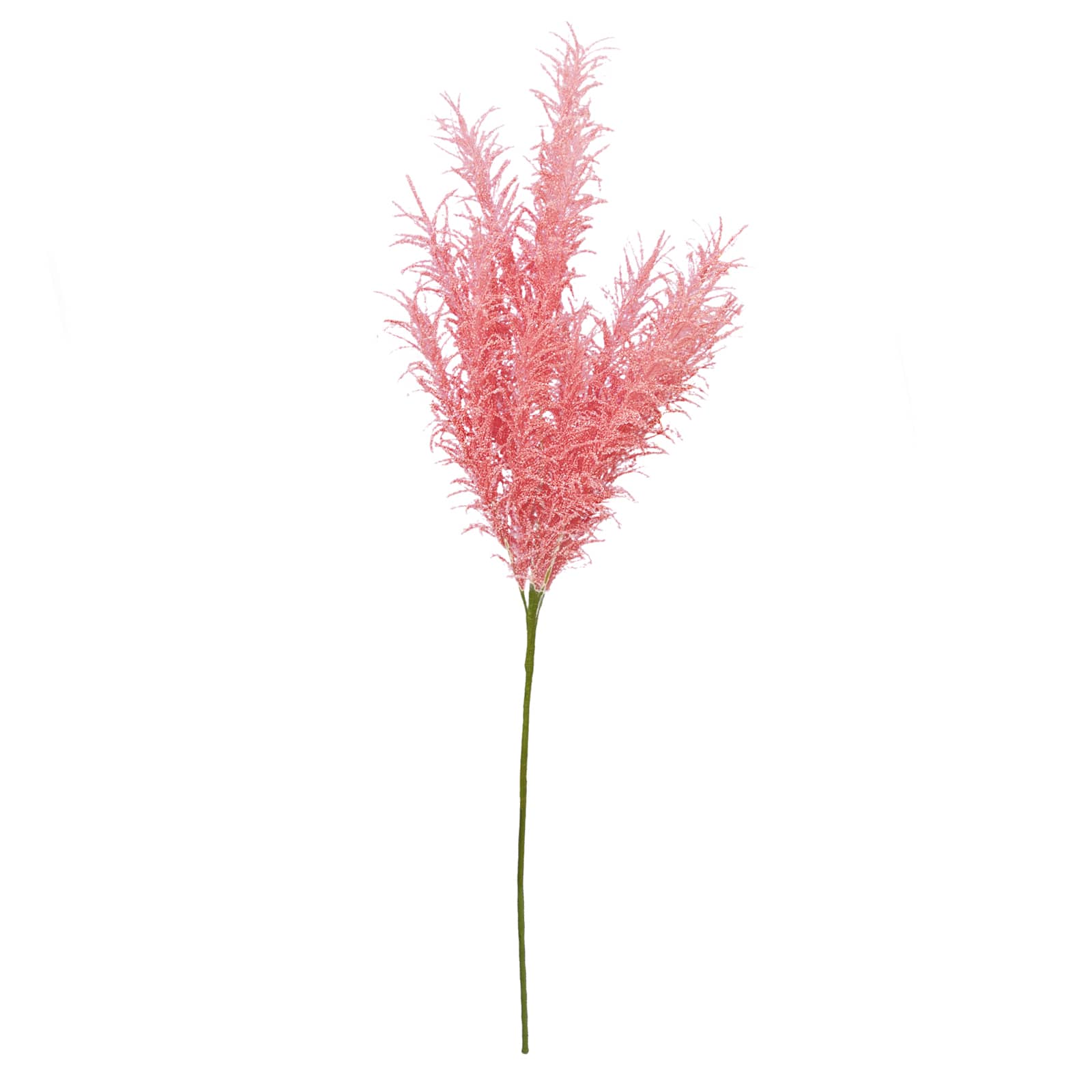 6 Pack: Peach Pampas Grass Stem by Ashland&#xAE;