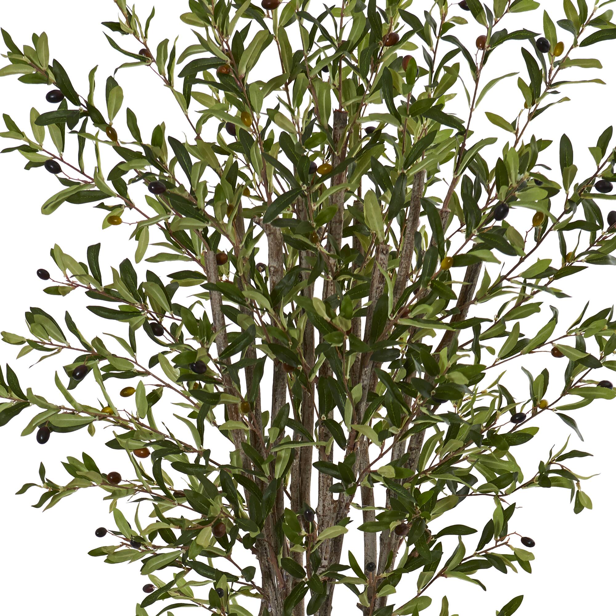 6ft. Olive Tree In White Tower Planter