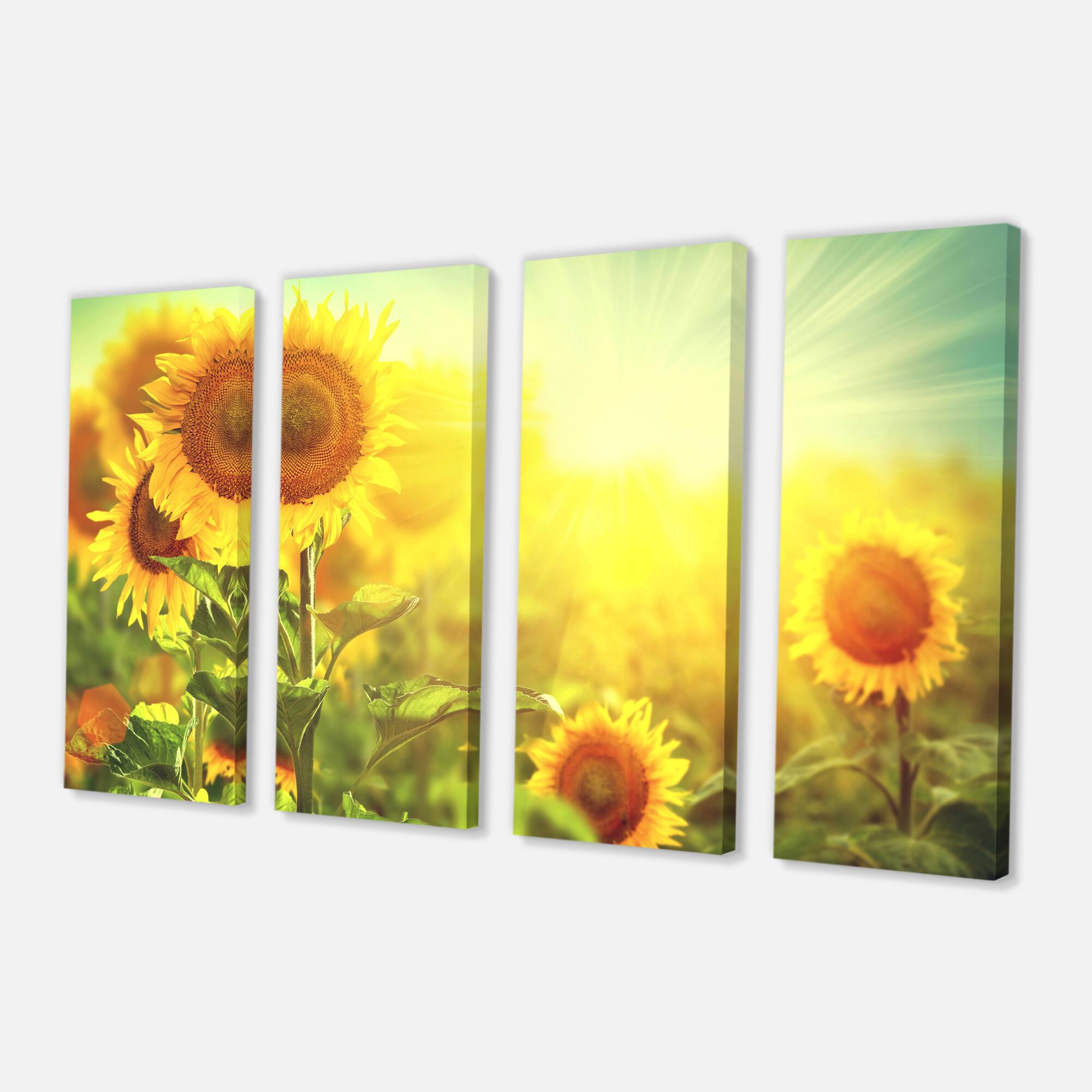 Designart - Sunflowers blooming on the field